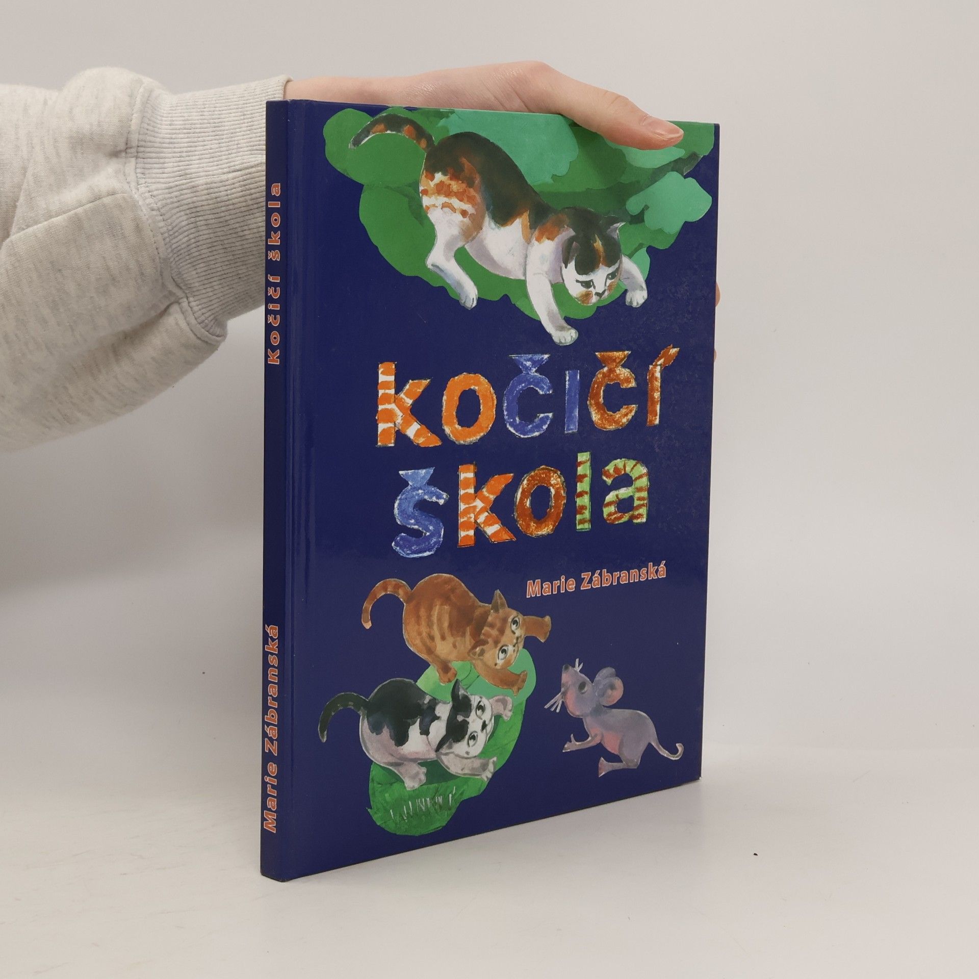 Kočičí škola