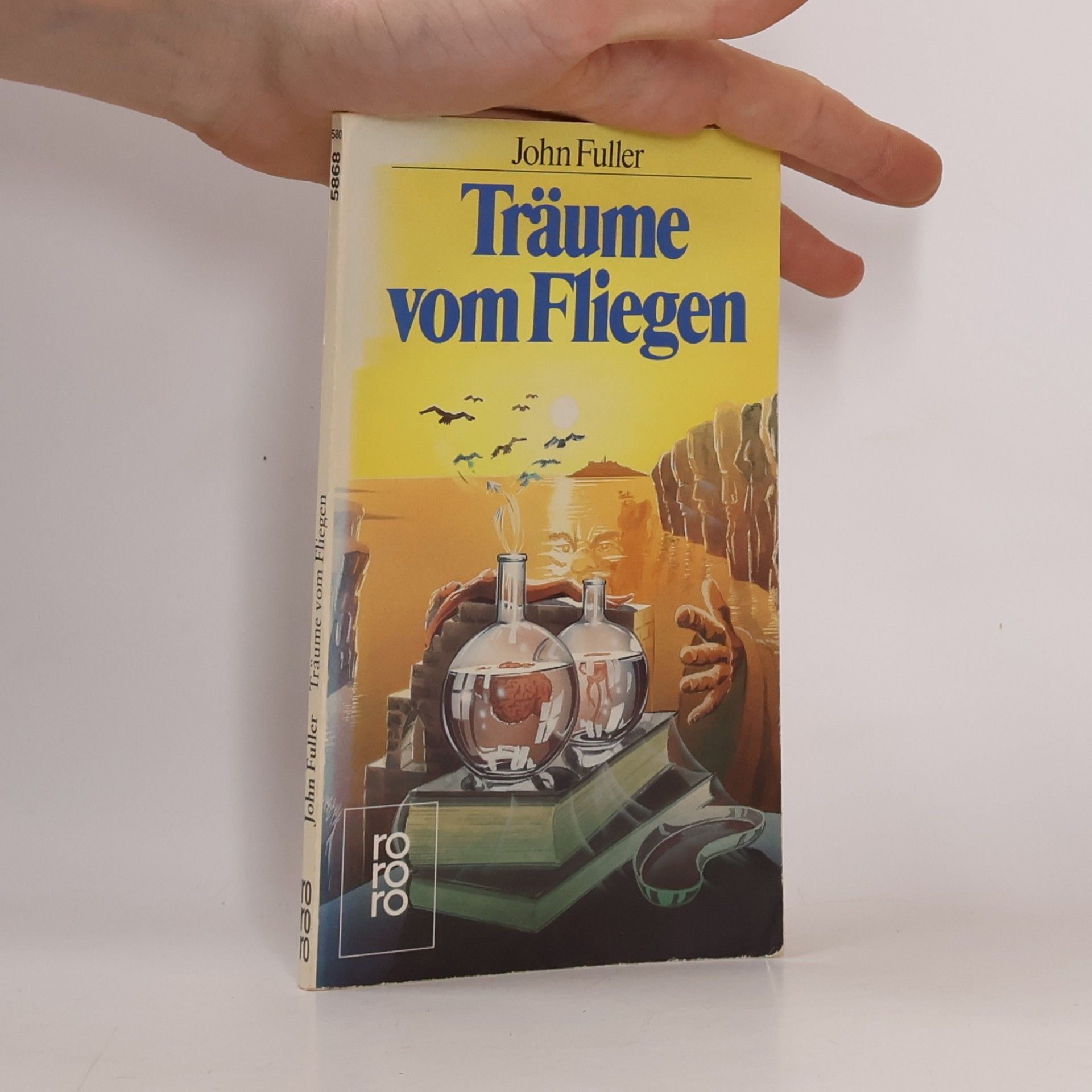 Träume vom Fliegen. Roman