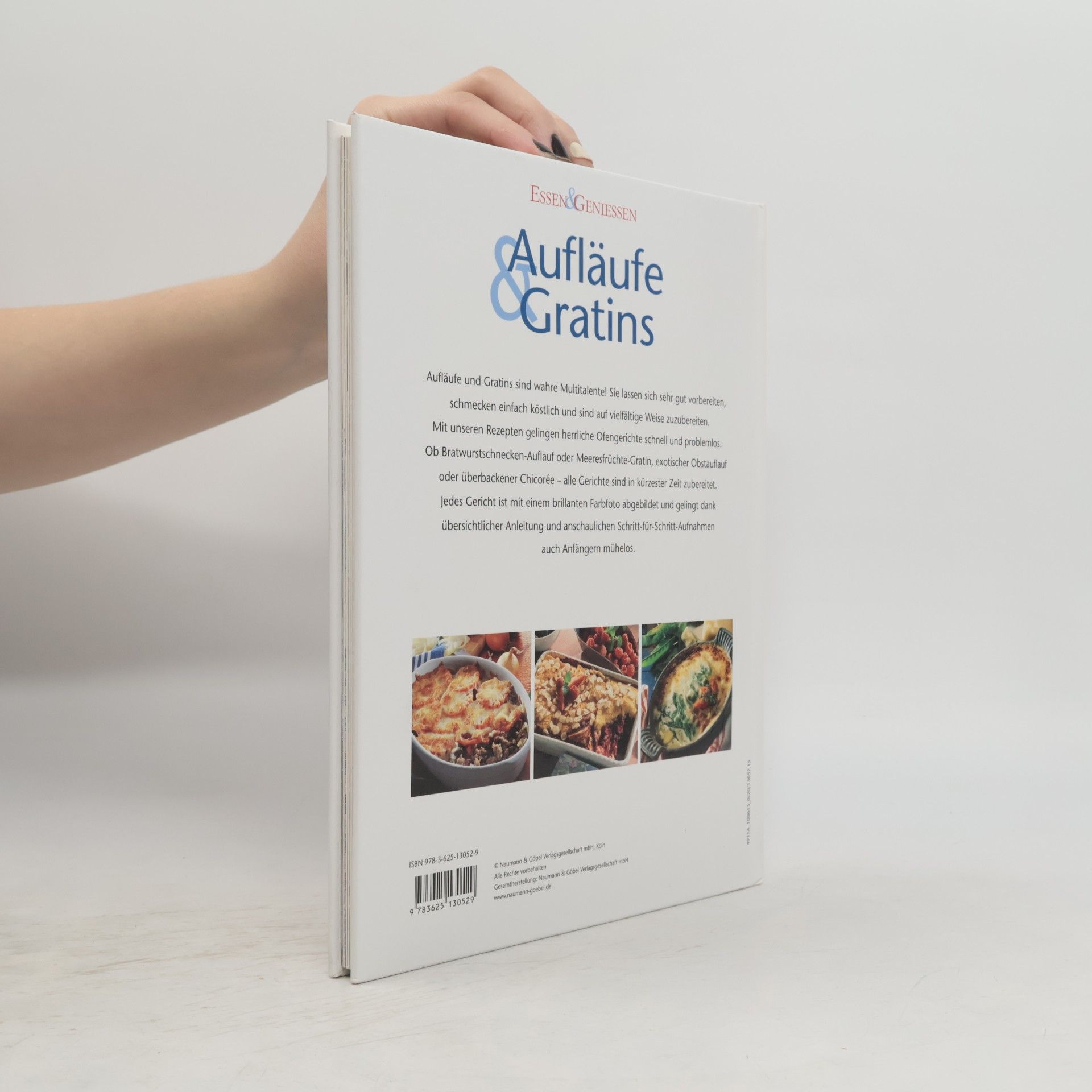 Kolektiv autorů Aufläufe und Gratins