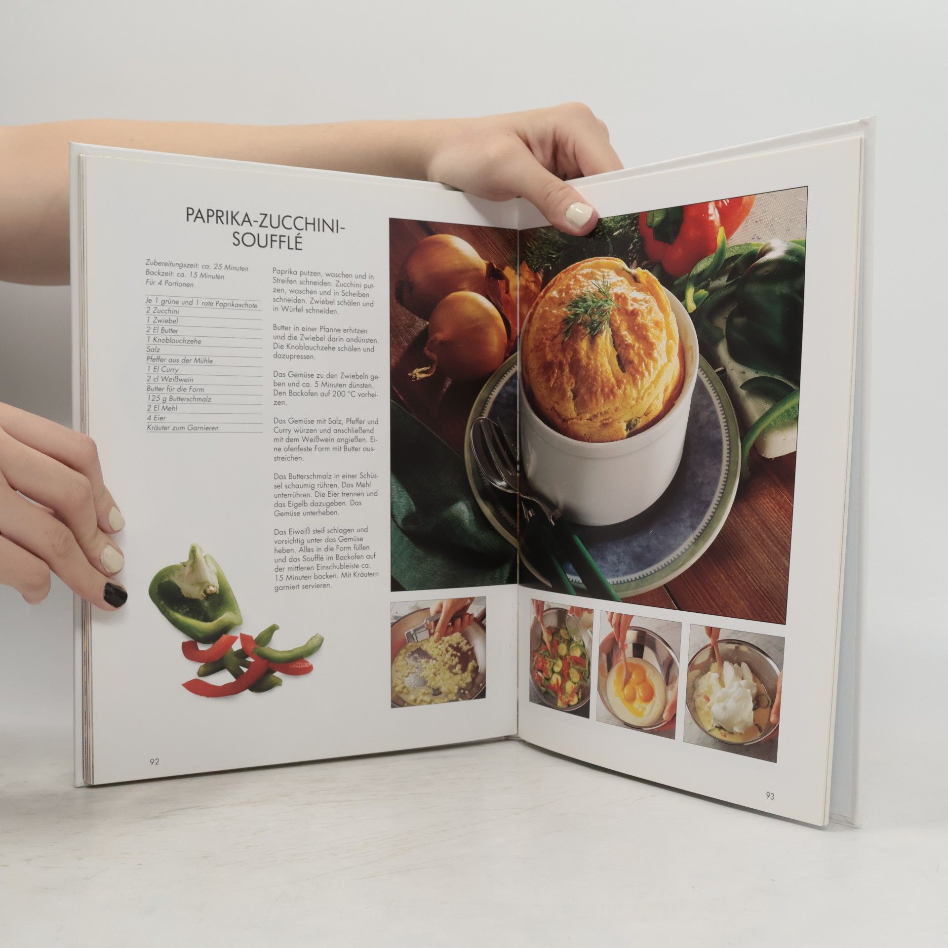 Kolektiv autorů Aufläufe und Gratins