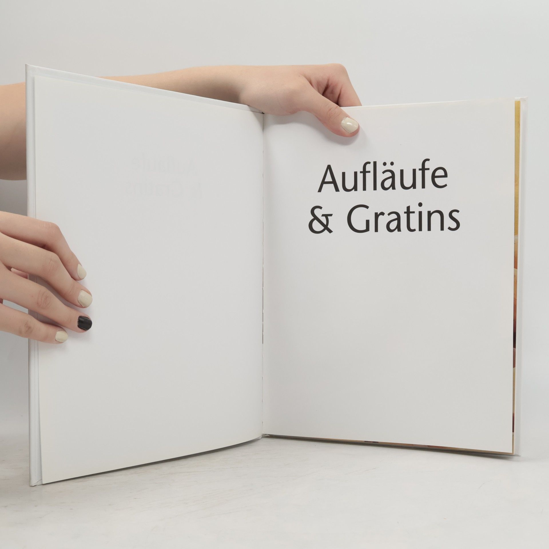 Kolektiv autorů Aufläufe und Gratins