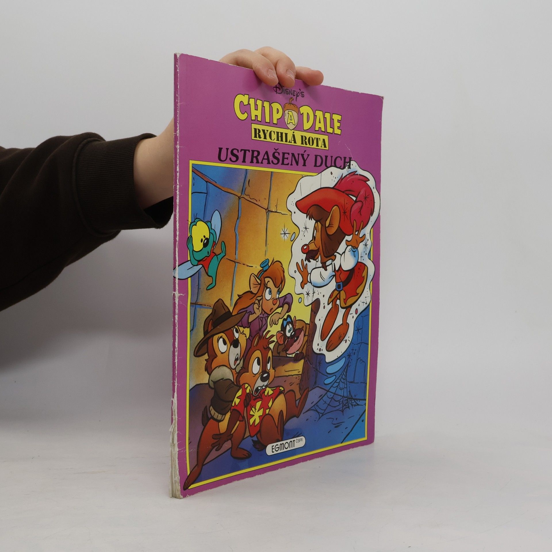 Don Ferguson Chip a Dale: Ustrašený duch