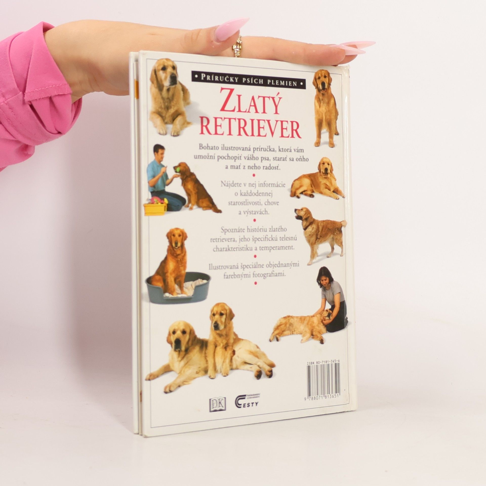 Bruce Folge Zlatý Retriever