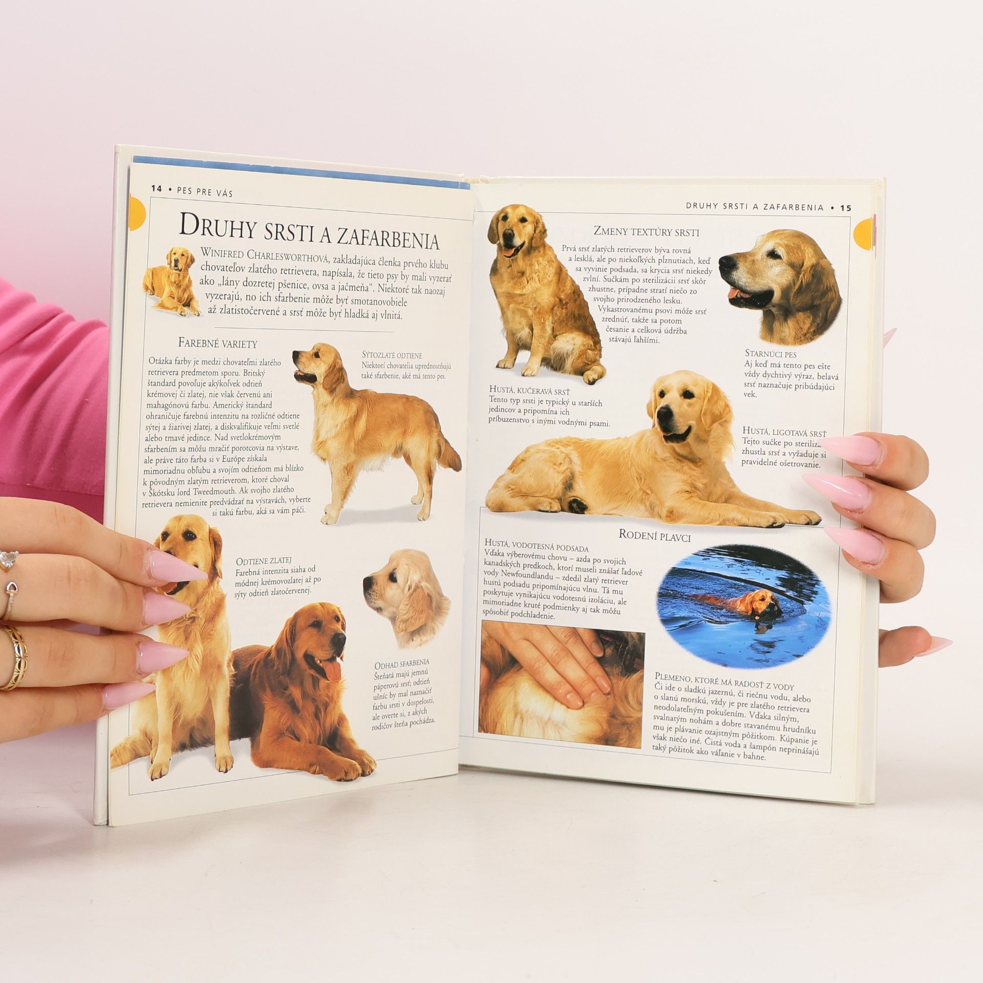 Bruce Folge Zlatý Retriever