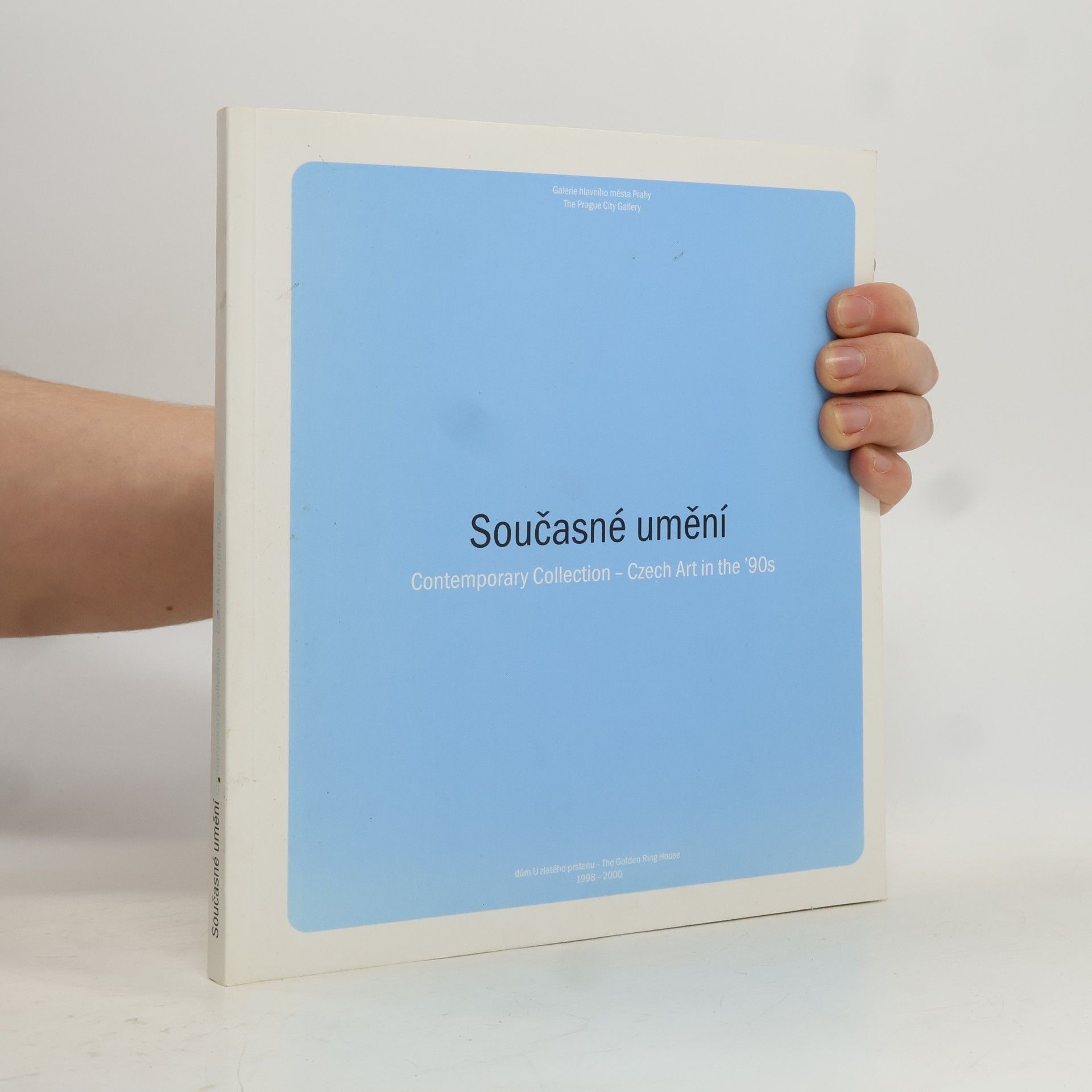 Současné umění = Contemporary collection - Czech art in the '90s