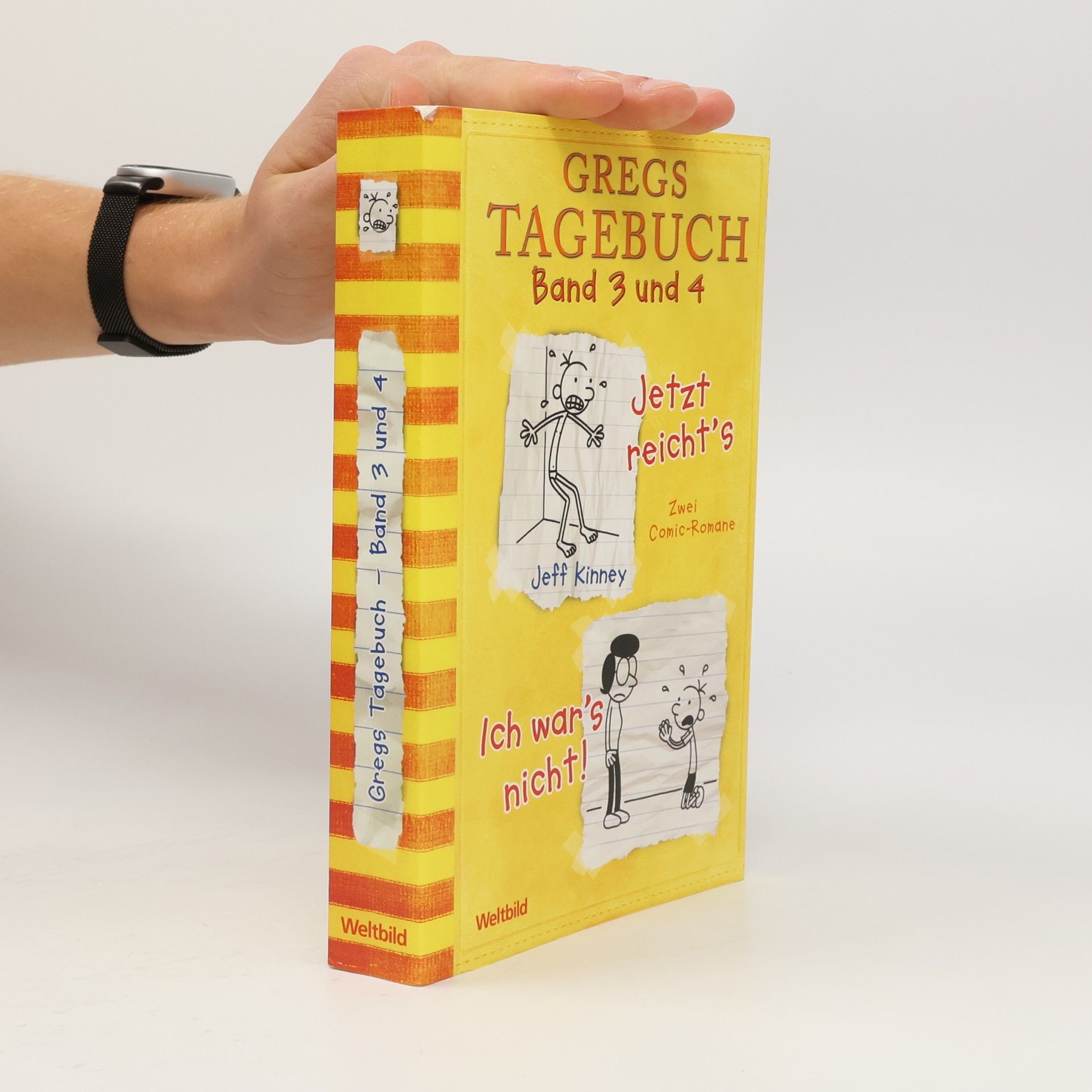 Gregs Tagebuch. Band 3 und 4