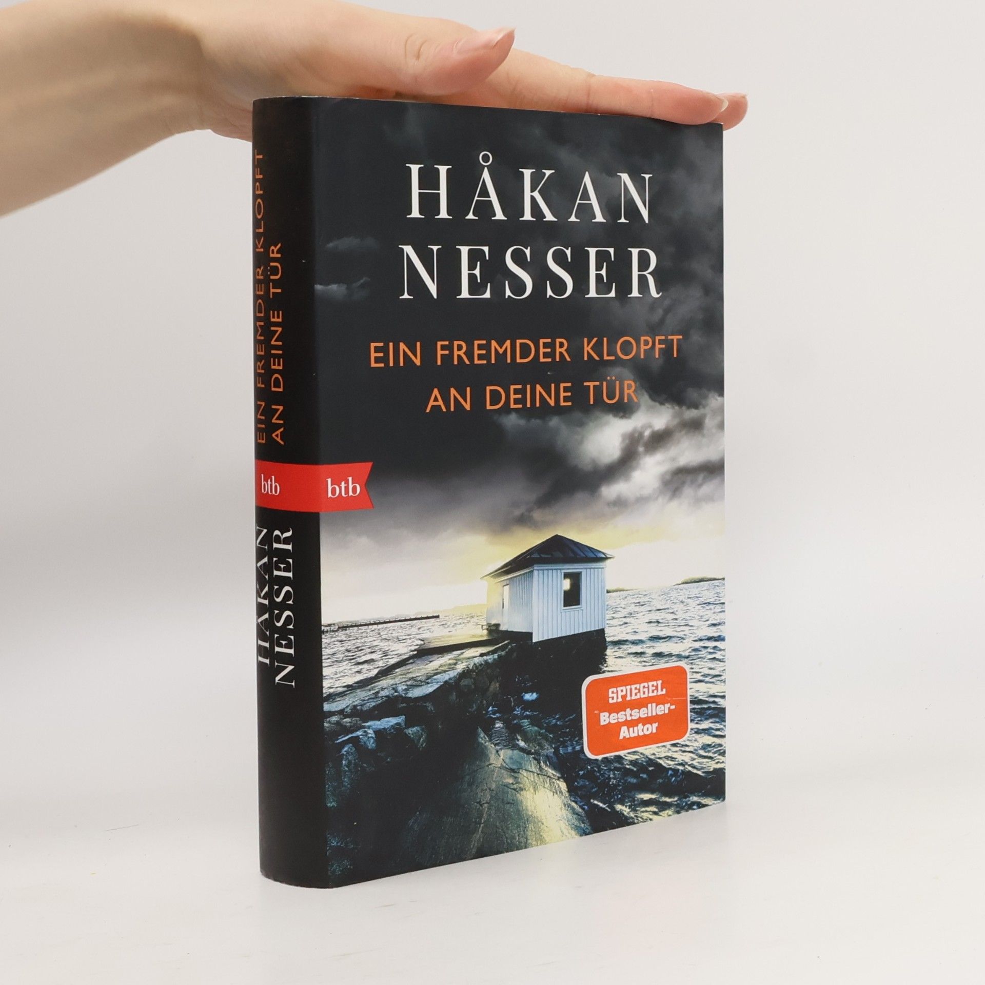Håkan Nesser Ein Fremder klopft an deine Tür