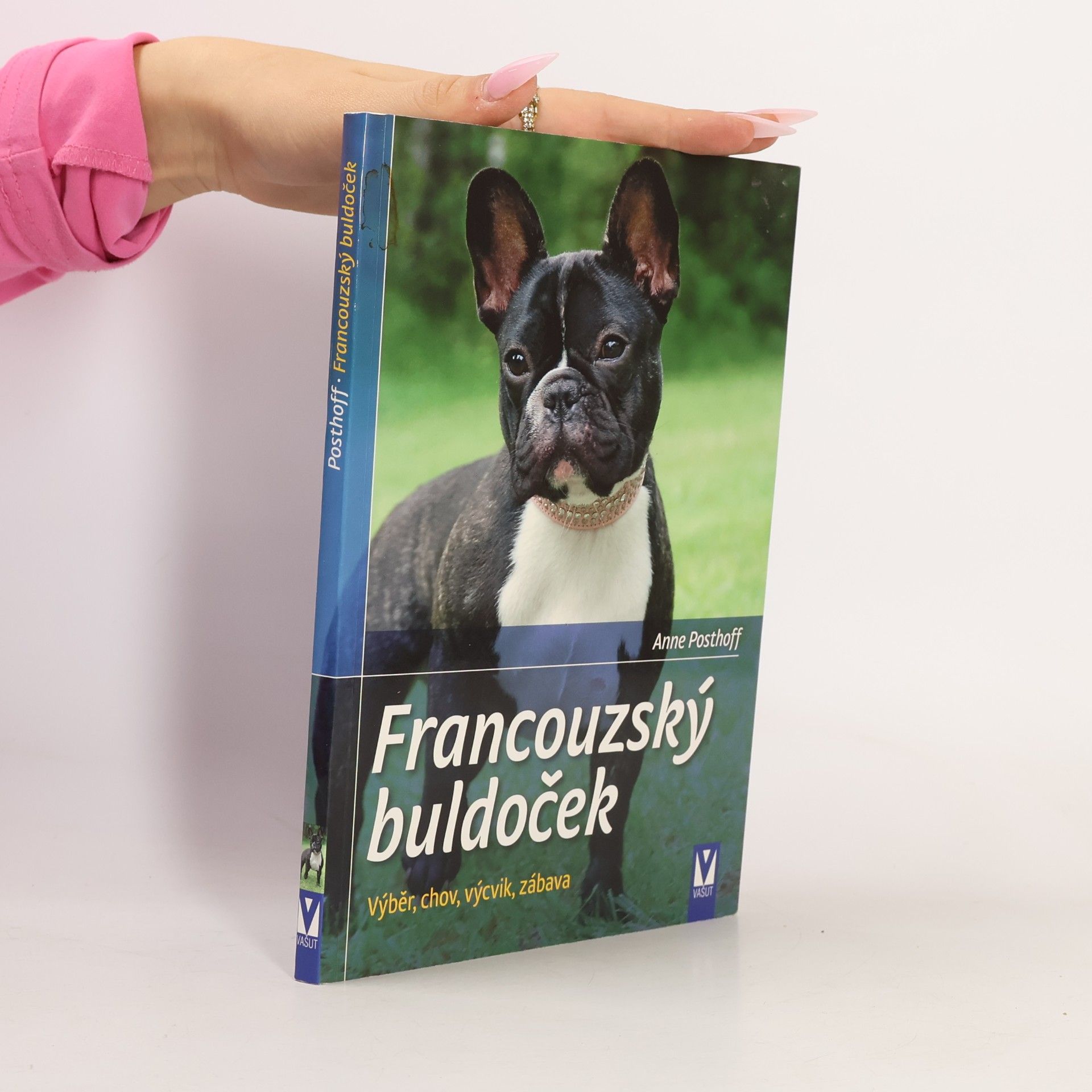 Francouzský buldoček. Výběr, chov, výcvik, zábava
