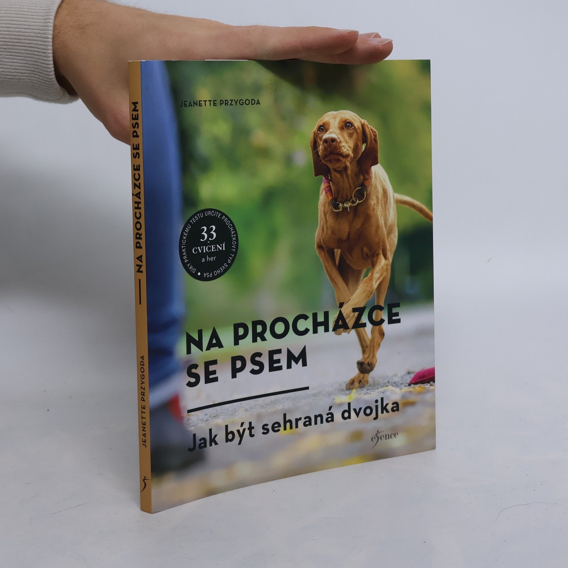 Na procházce se psem. Zábava pro každý typ psa