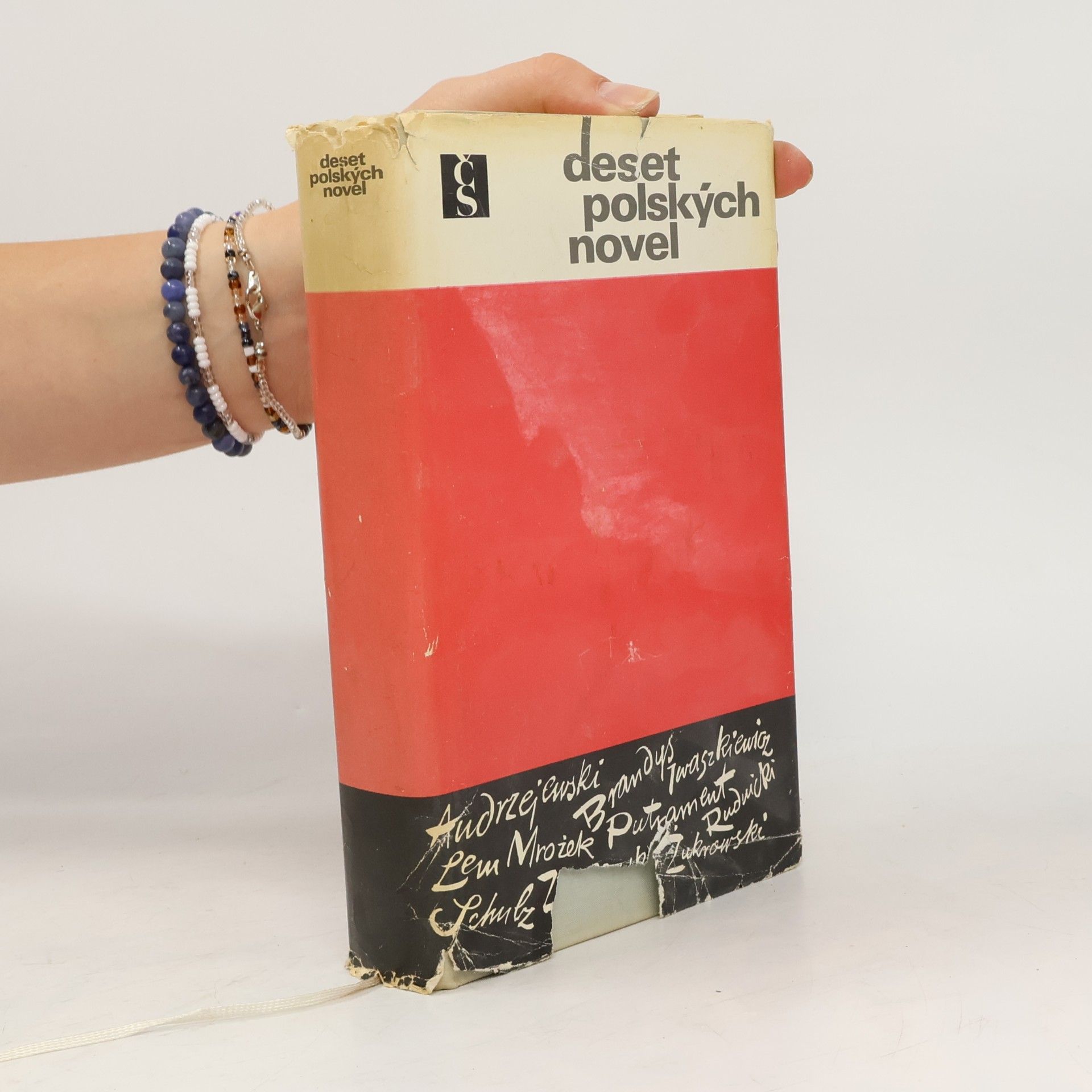 Deset polských novel