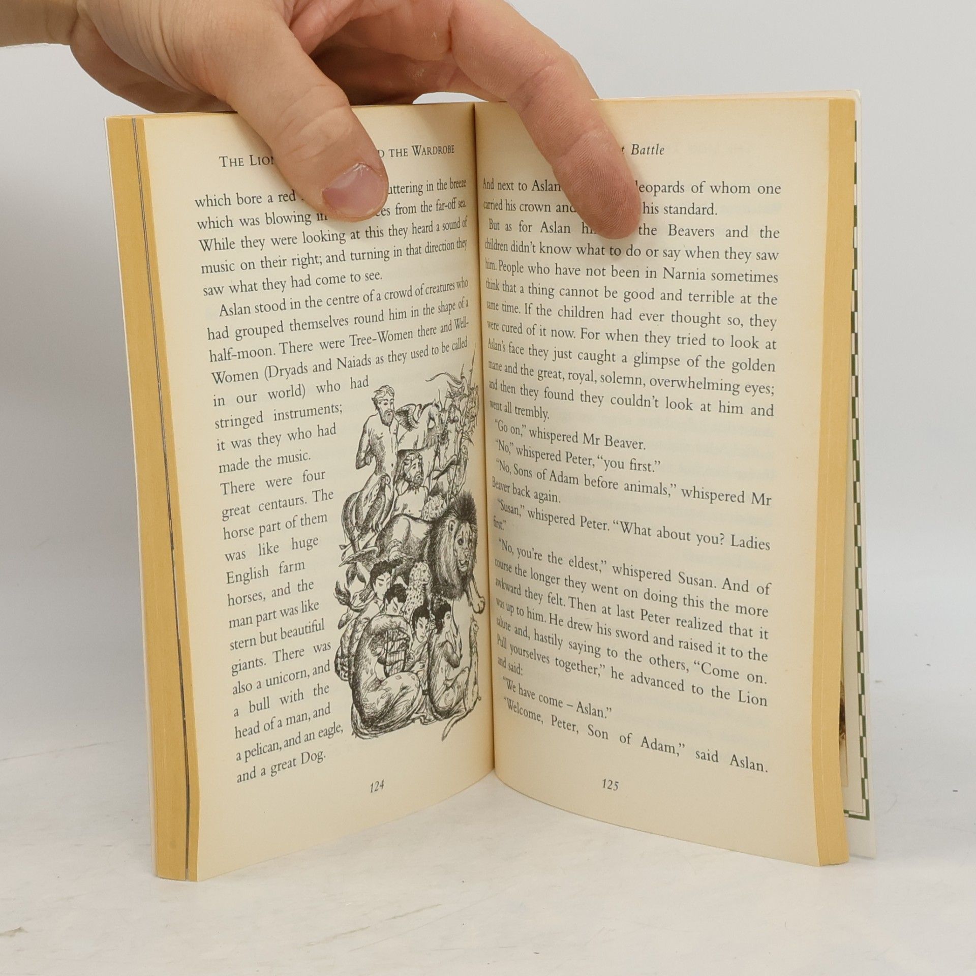 Pauline Baynes The lion, the witch and the wardrobe