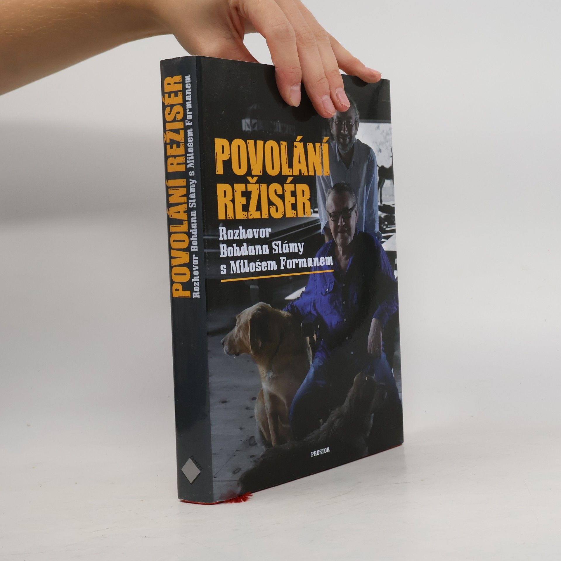 Povolání režisér