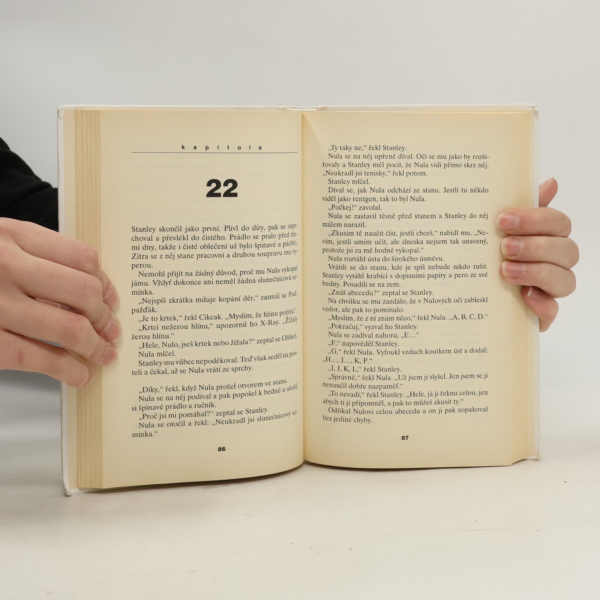 Louis Sachar Díry, aneb, Tajemství Zeleného jezera