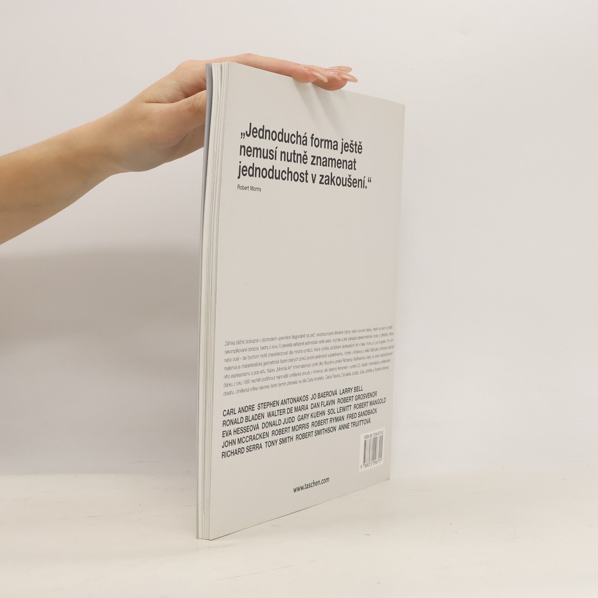 Daniel Marzona Minimalismus