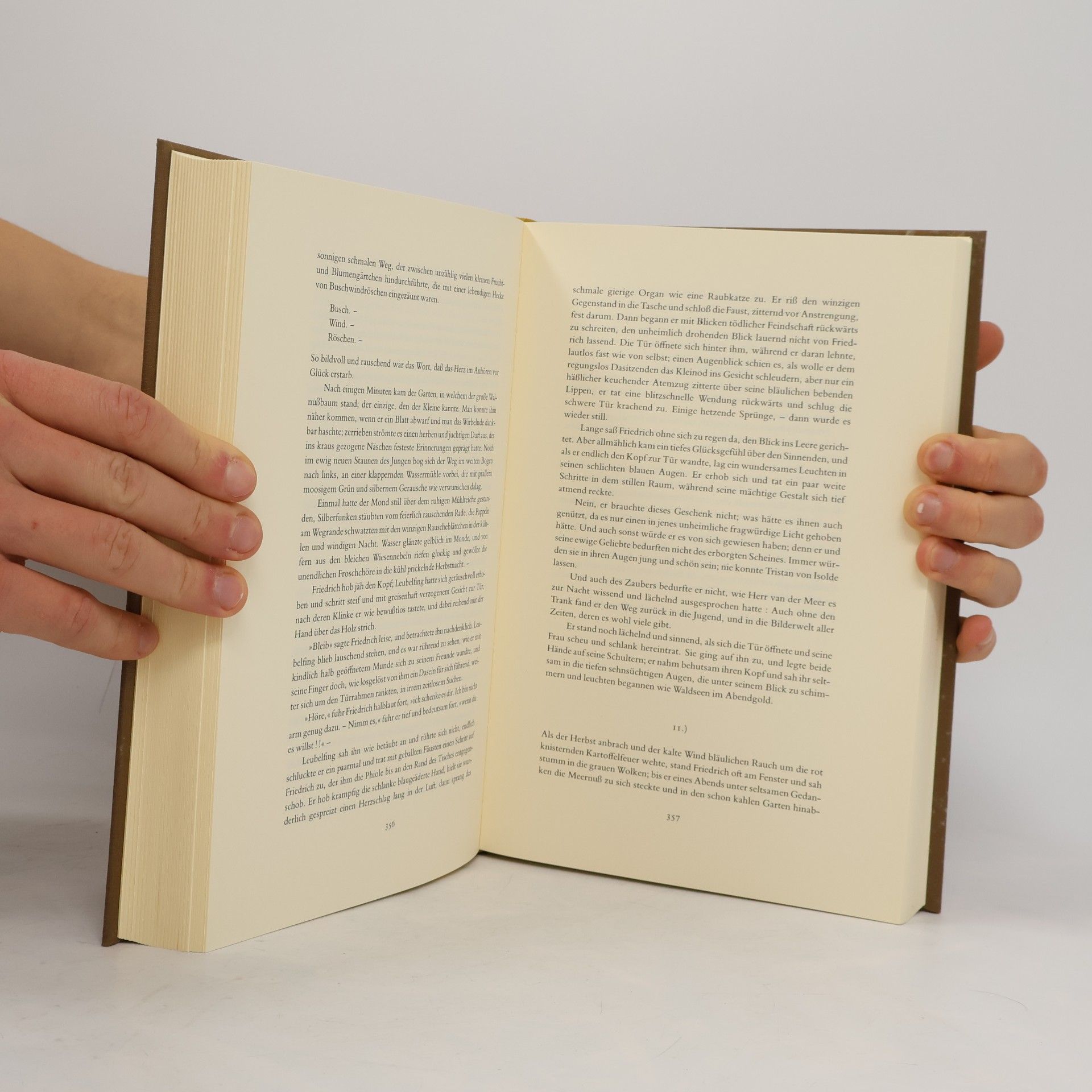 Arno Schmidt Werke, Bargfelder Ausgabe - 4: Kleinere Erzählungen, Gedichte, Juvenilia