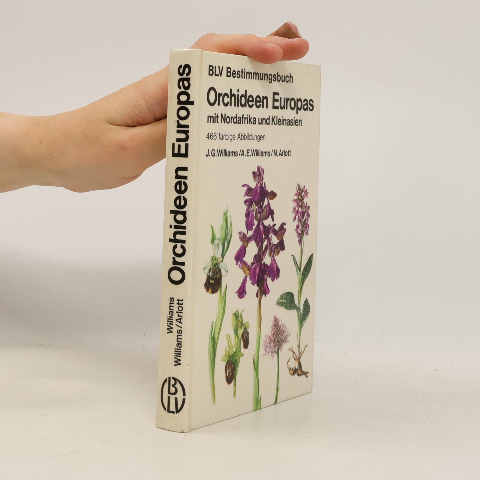 Orchideen Europas