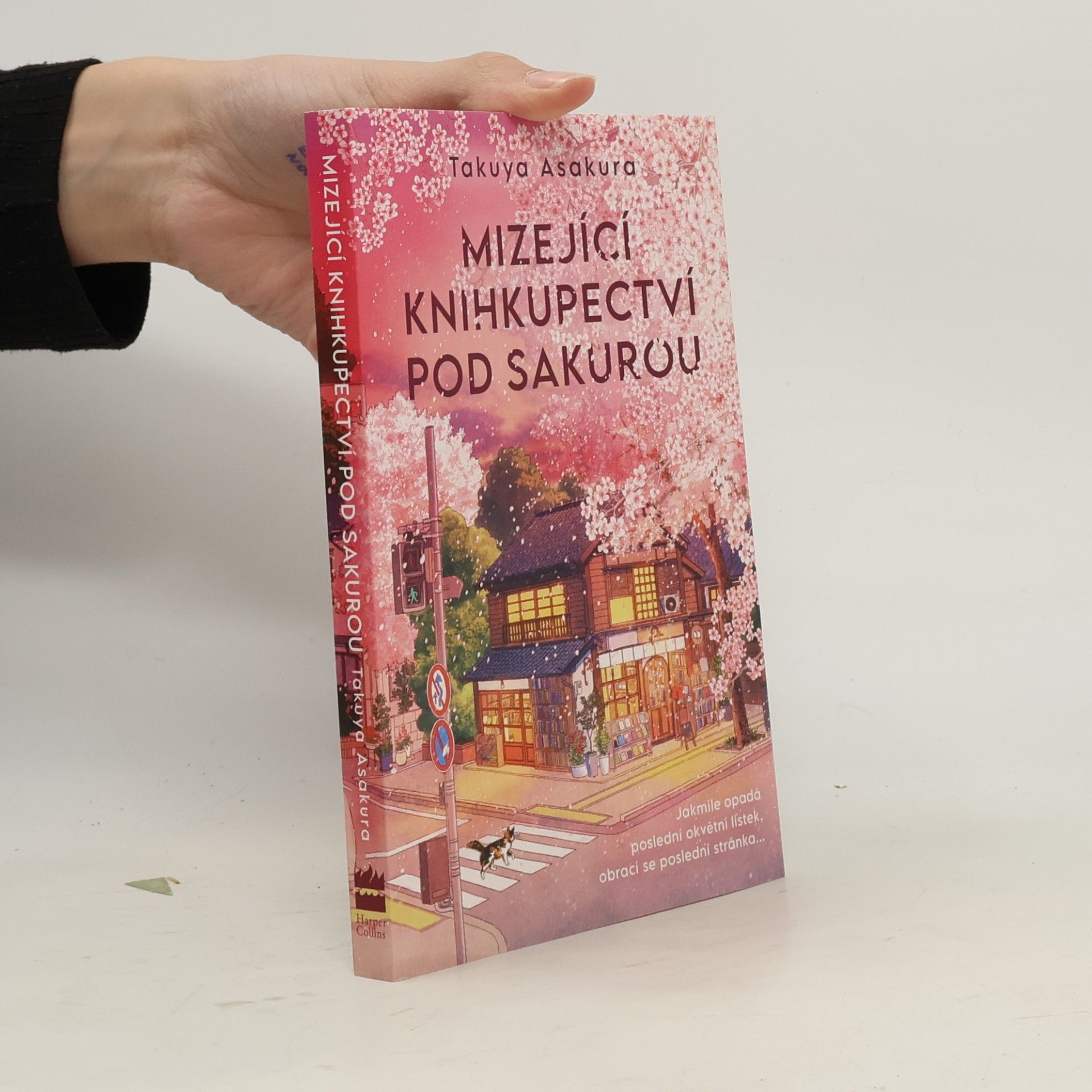 Knihkupectví pod kvetoucí sakurou