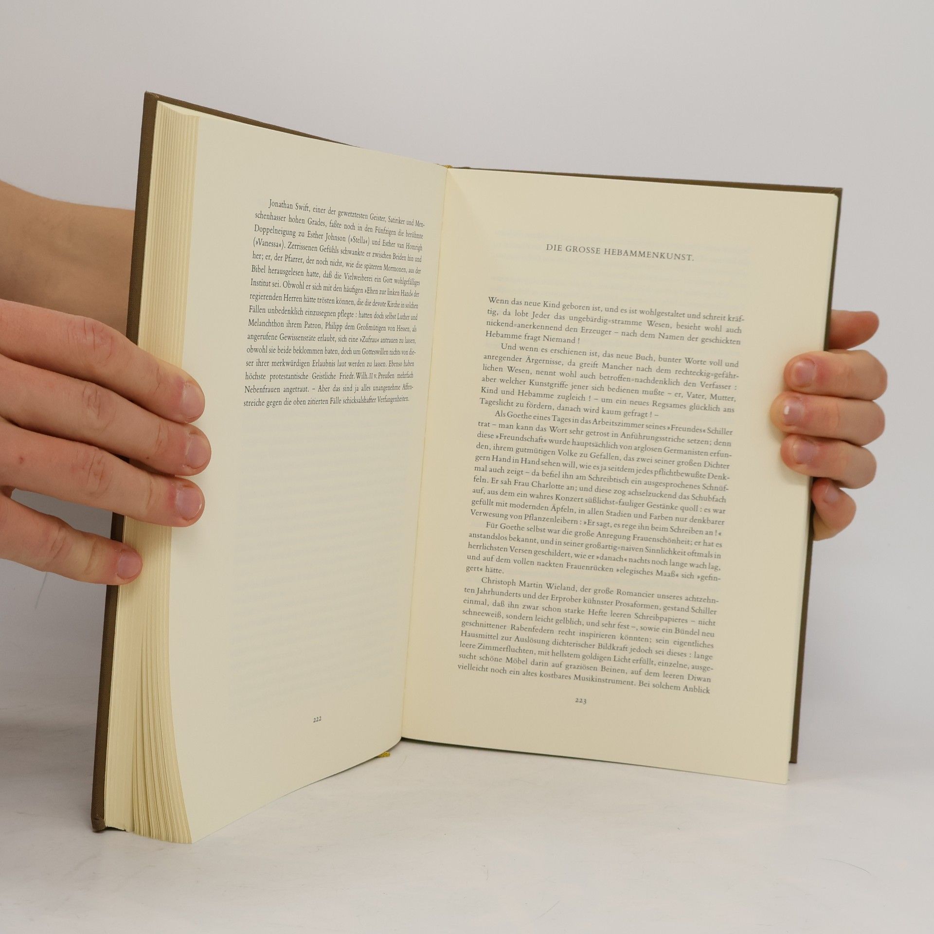 Arno Schmidt Bargfelder Ausgabe, Werkgruppe 3 - 1: Essays und Aufsätze