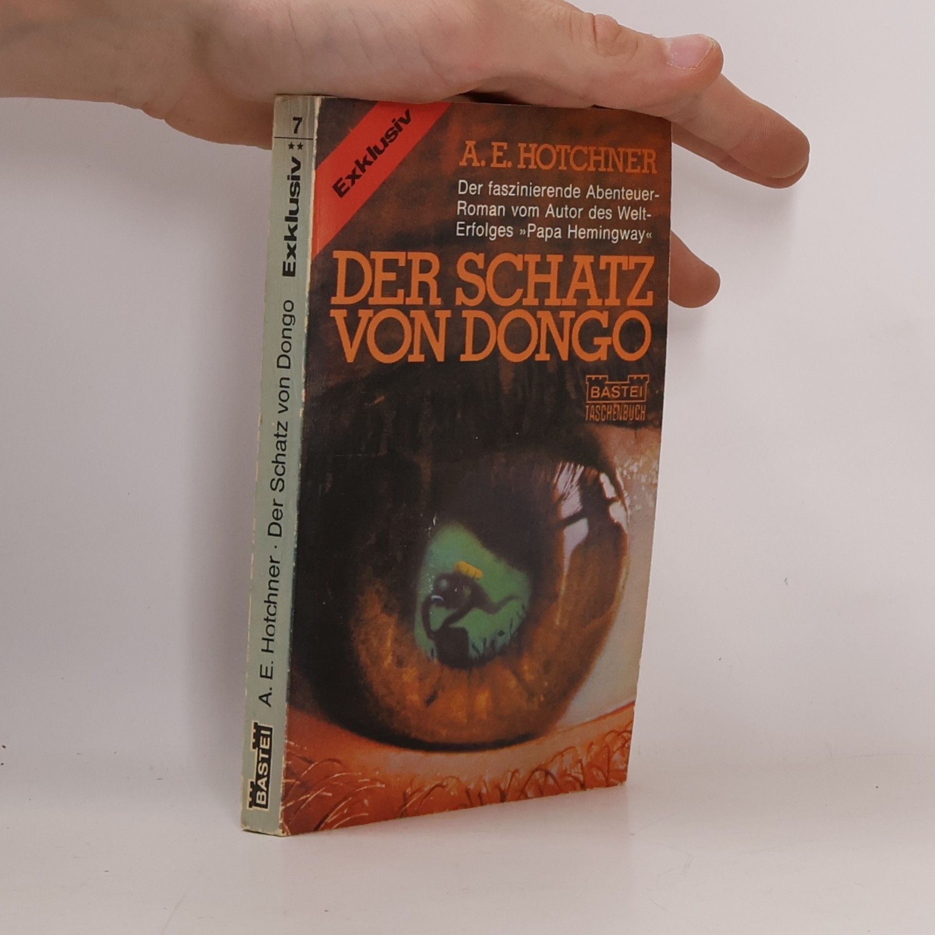 A. E. Hotchner Der Schatz von Dongo