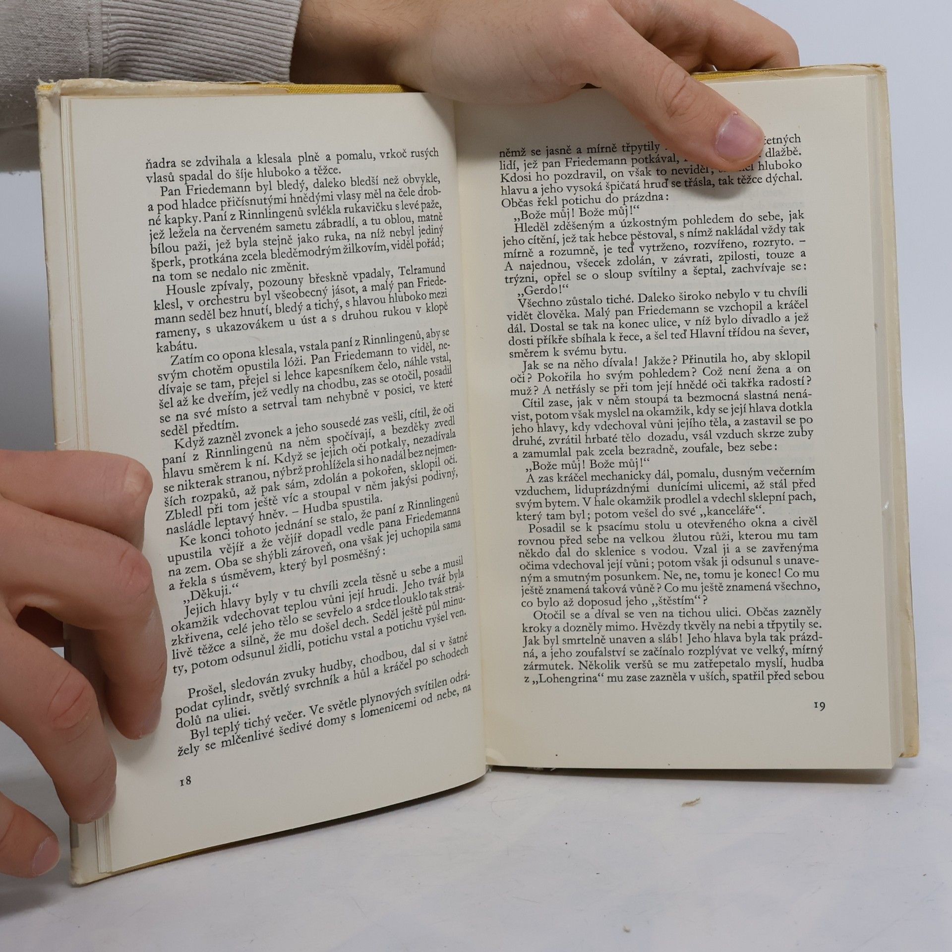 Thomas Mann Novely a povídky I.