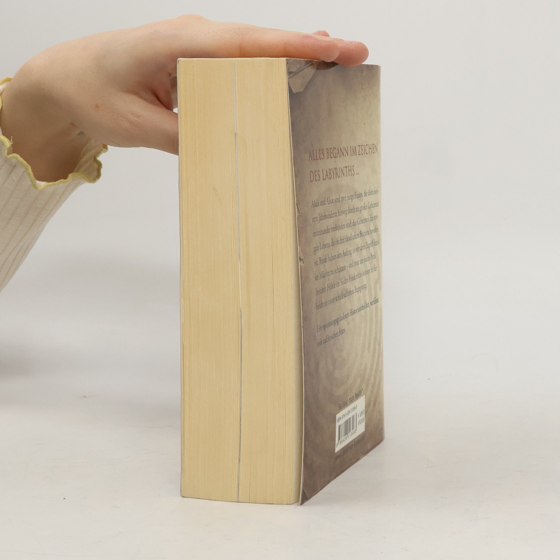 Kate Mosse Das verlorene Labyrinth