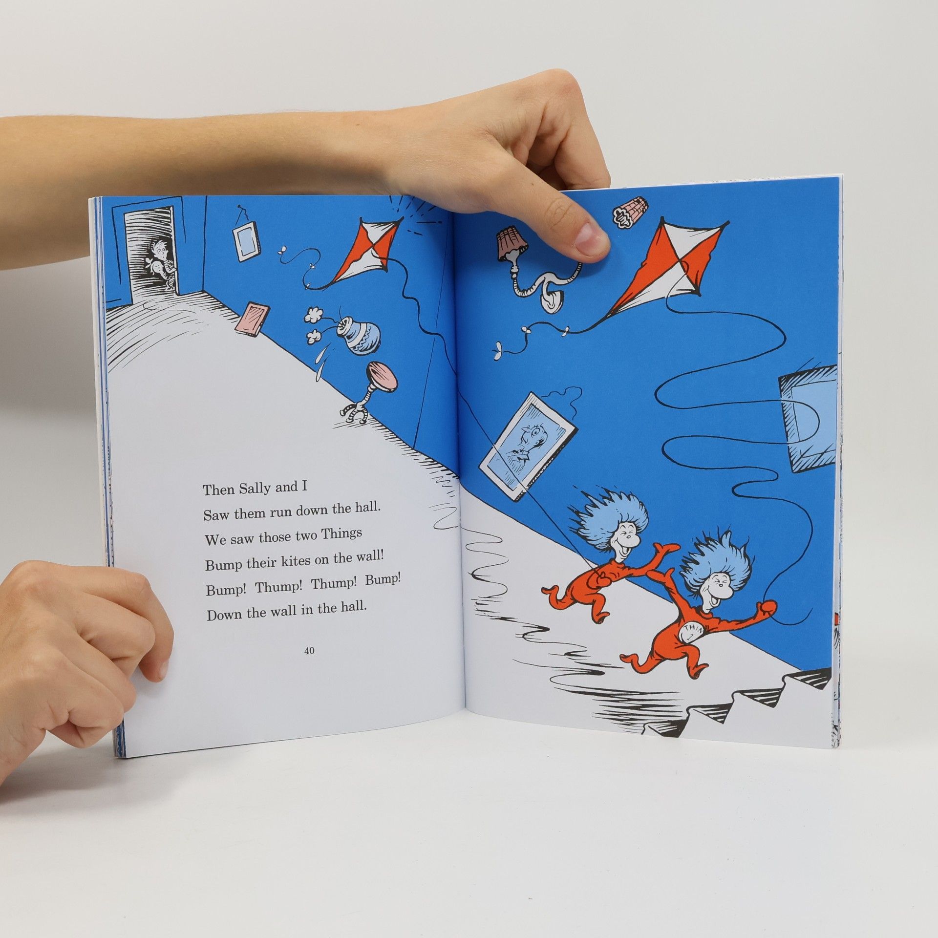 Dr. Seuss The Cat in the Hat