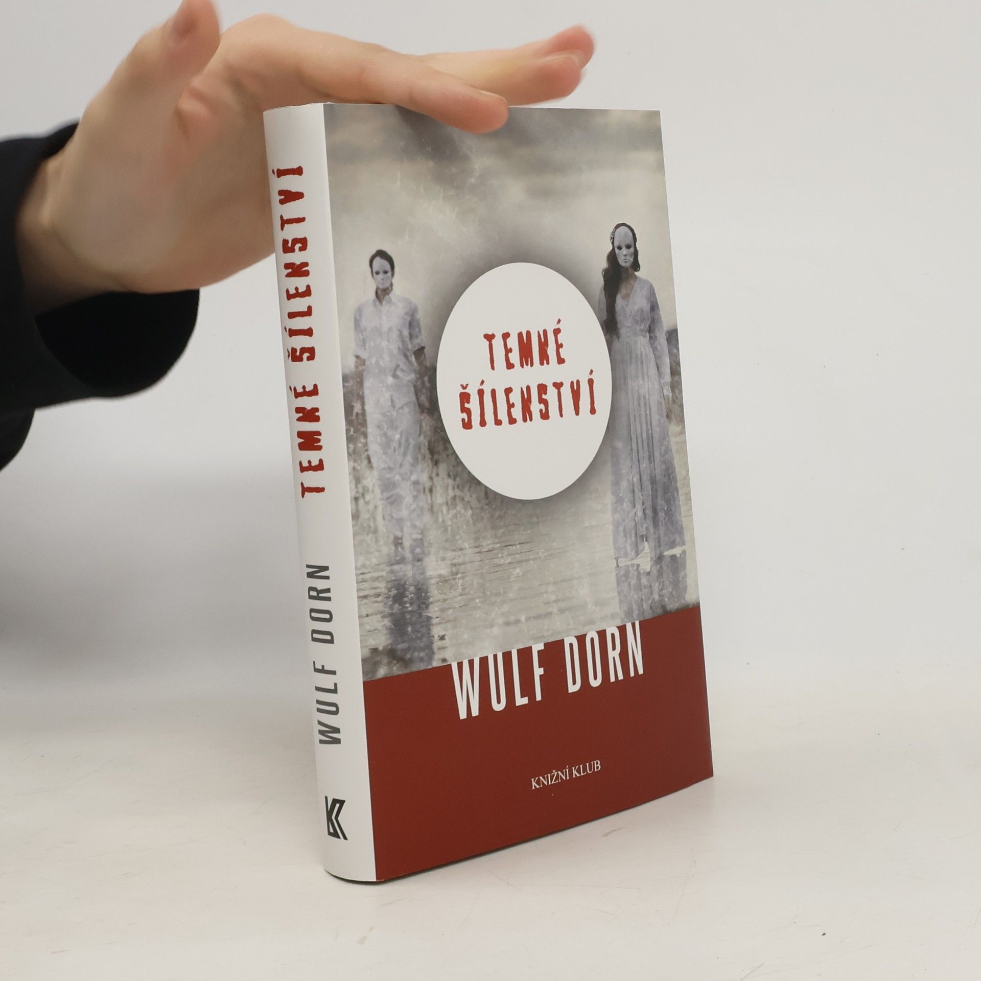 Wulf Dorn Temné šílenství