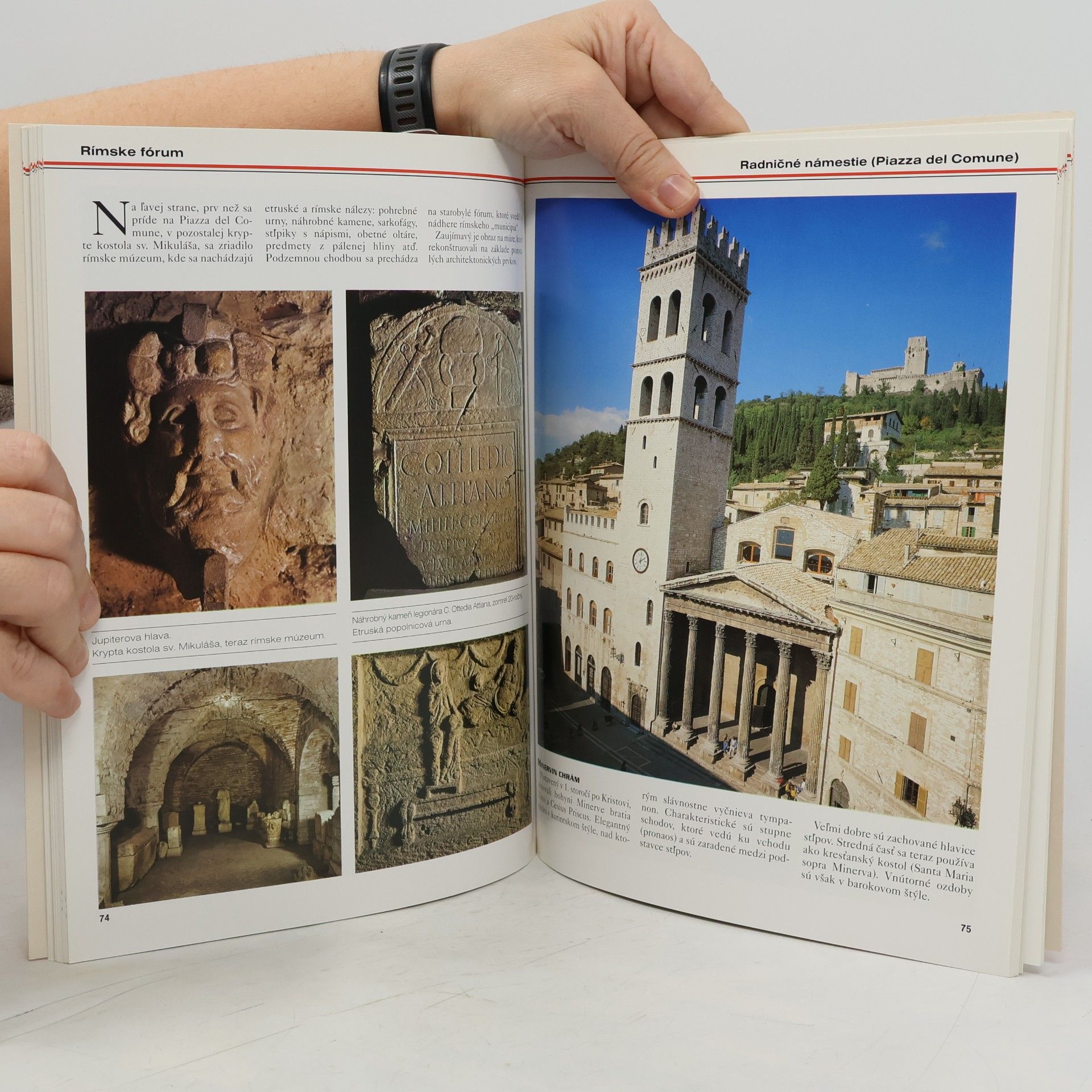 Kolektiv autorů Assisi. Umenie a dejiny cez stáročia