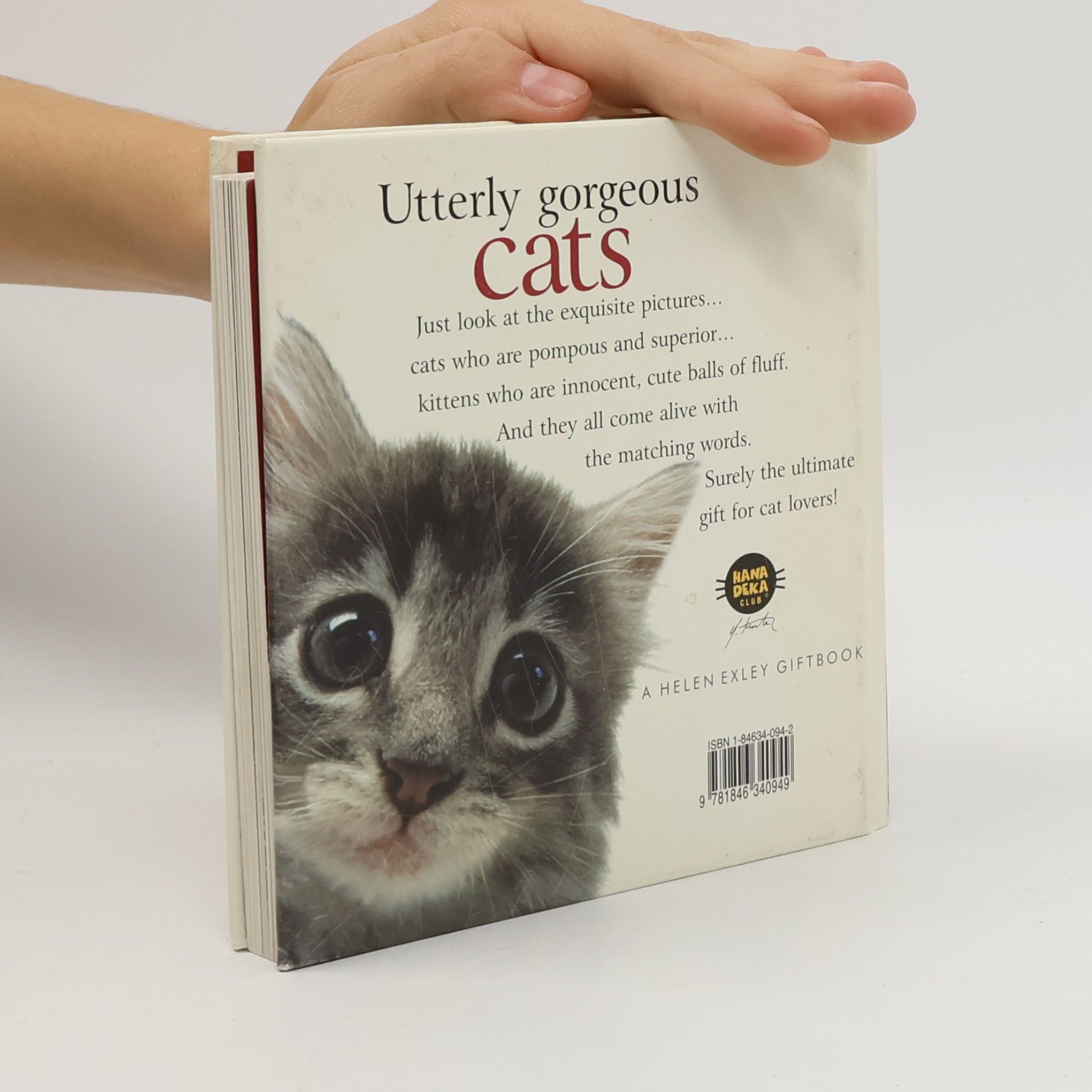 Helen Exley Utterly Gorgeous Cats