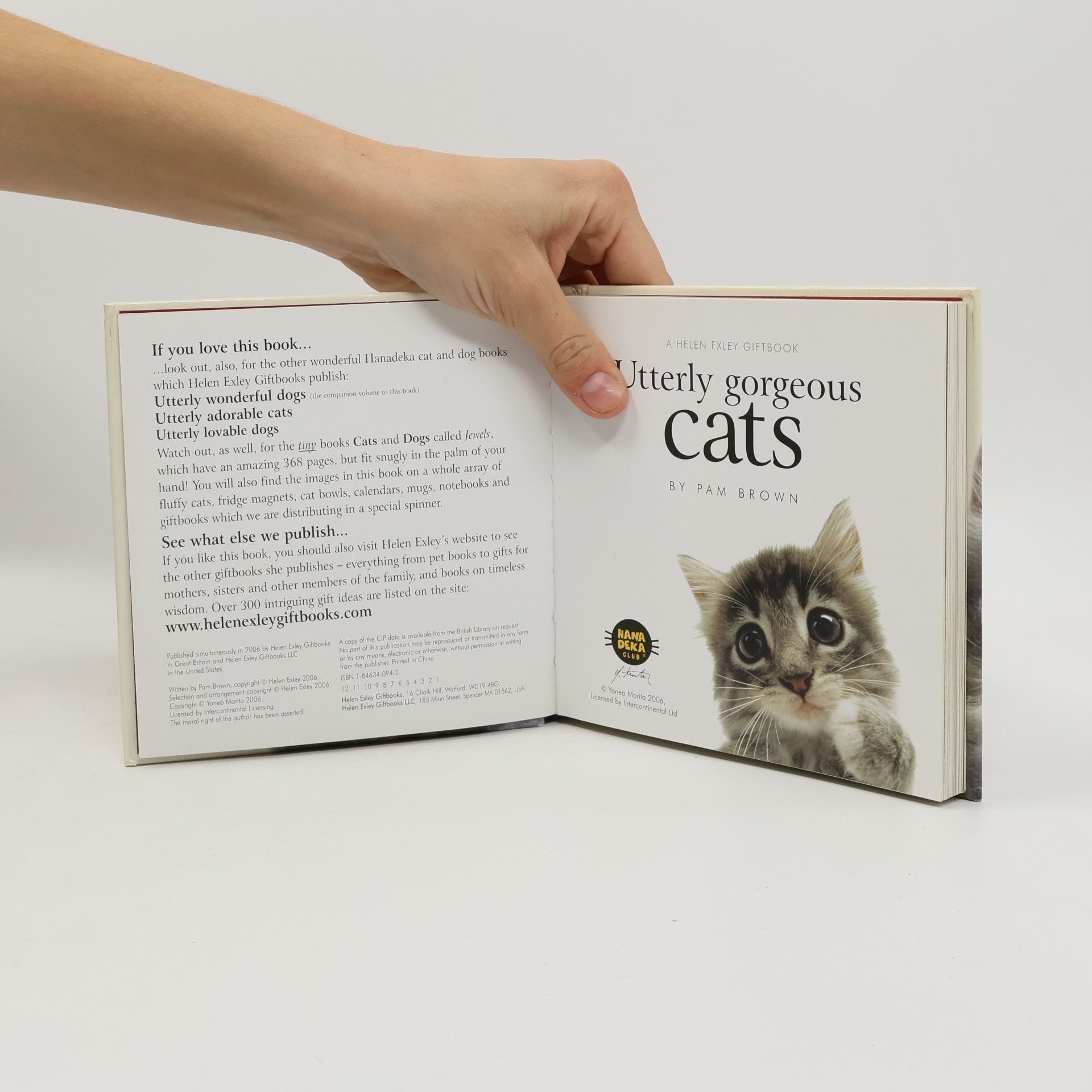Helen Exley Utterly Gorgeous Cats