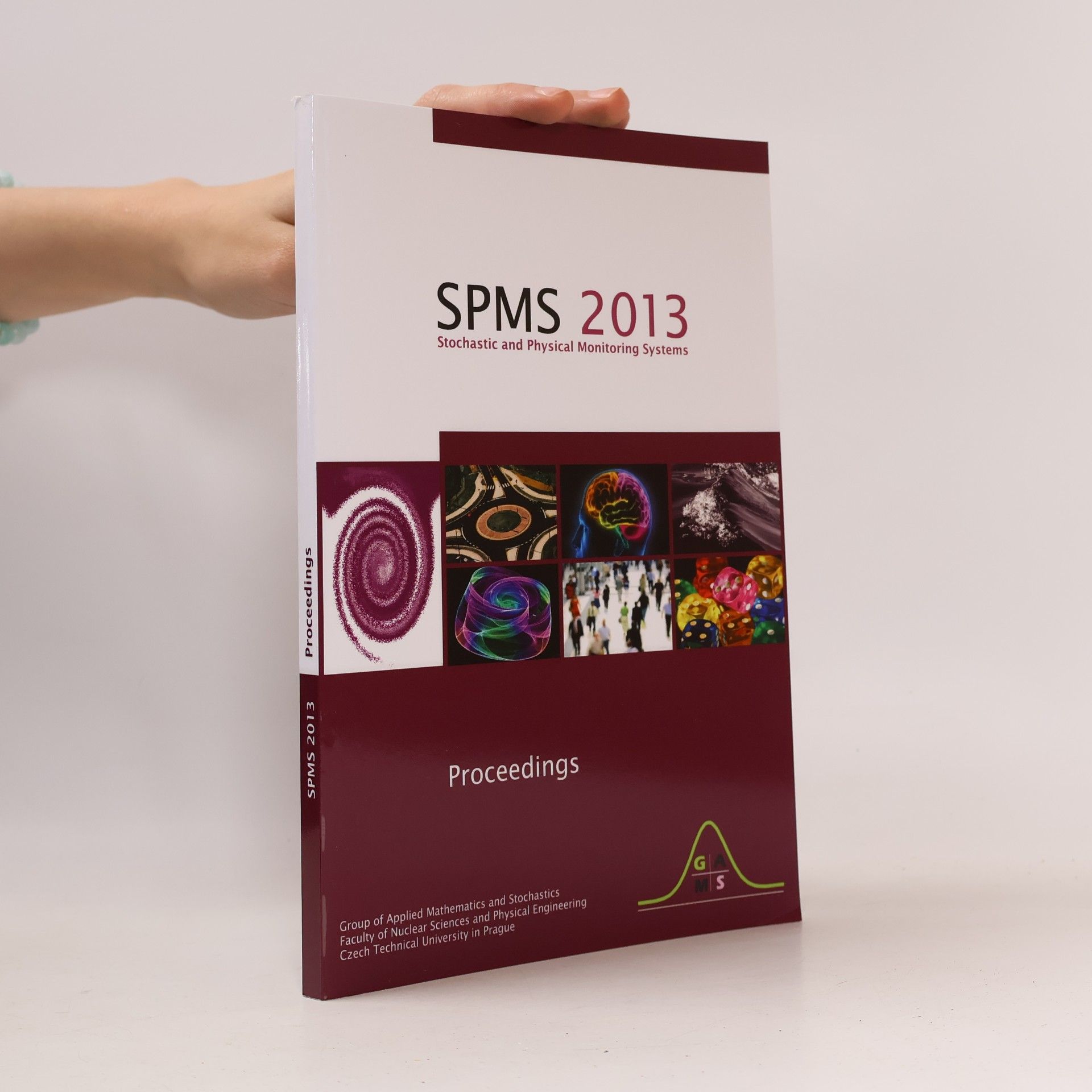SPMS 2013