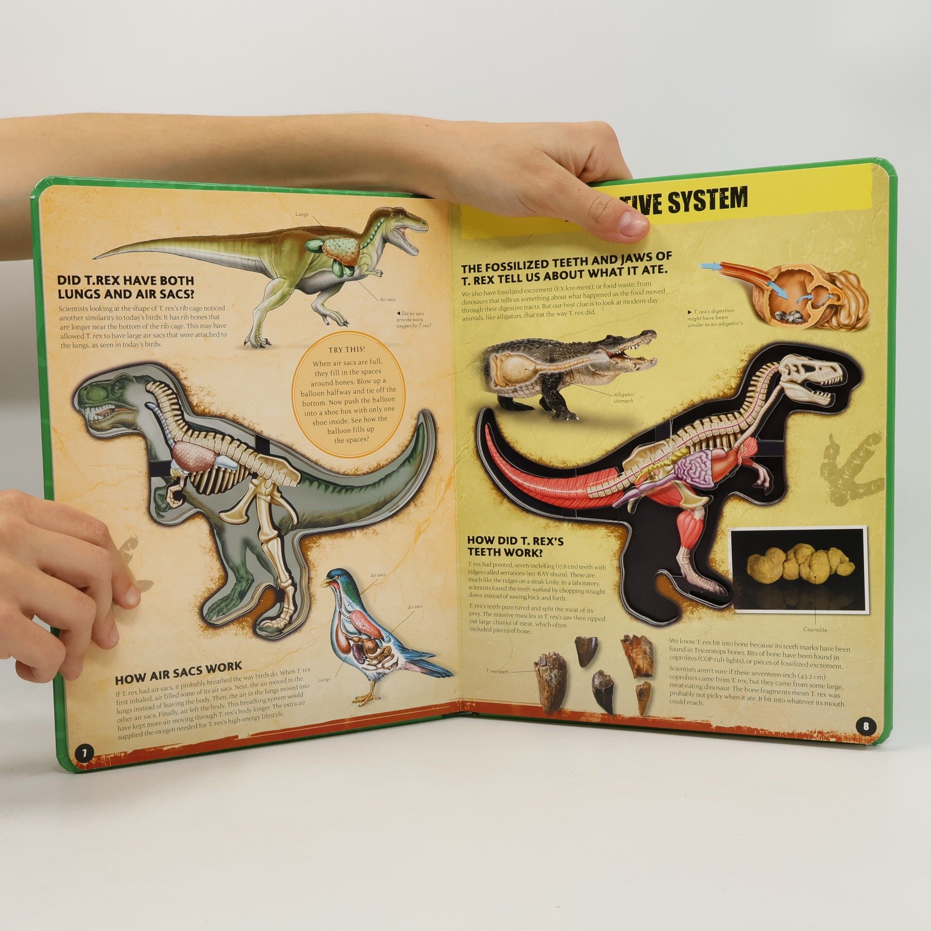 Dennis Schatz Inside Out T-Rex