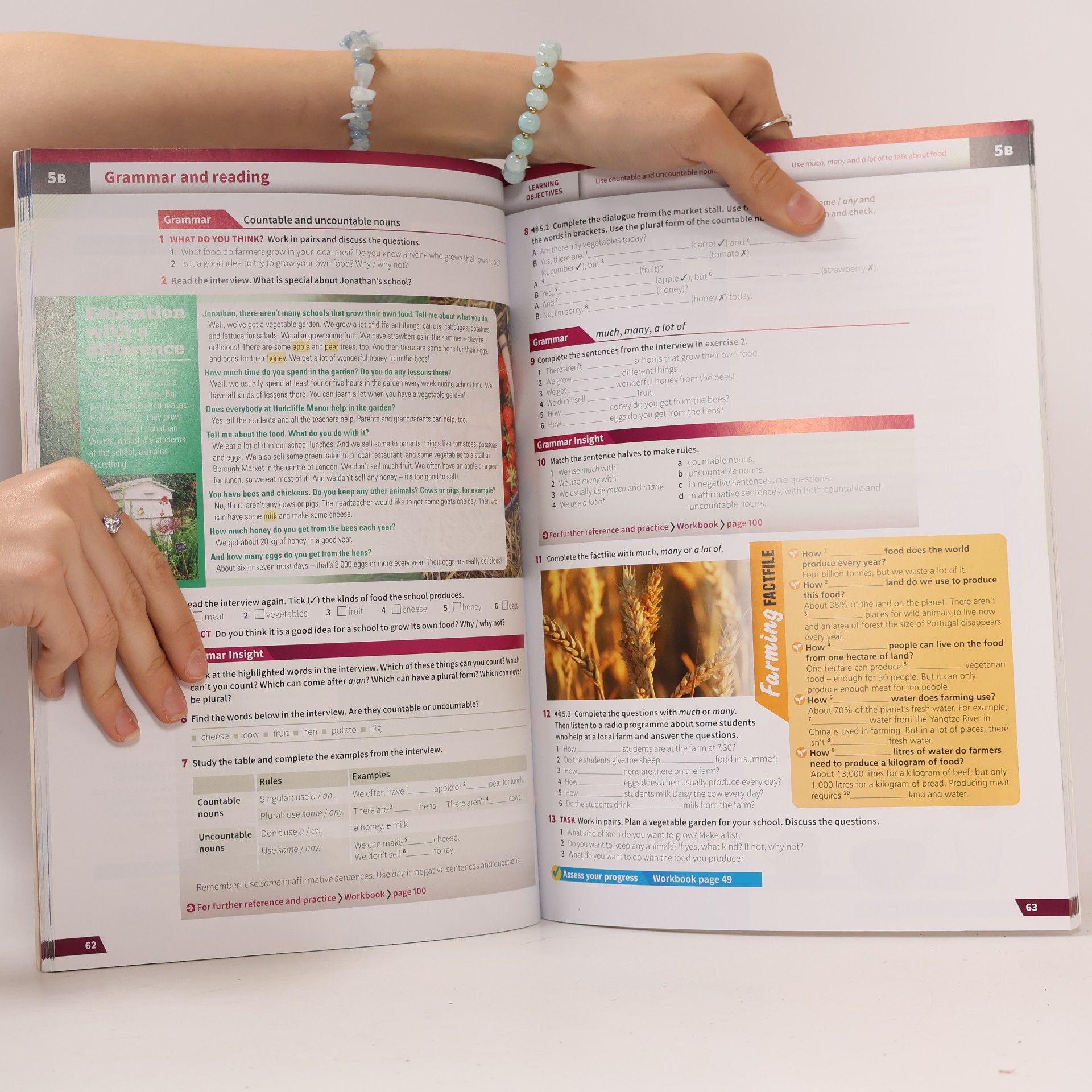 Fiona Beddall Insight Elementary Student´s Book with Online Practice, 2nd