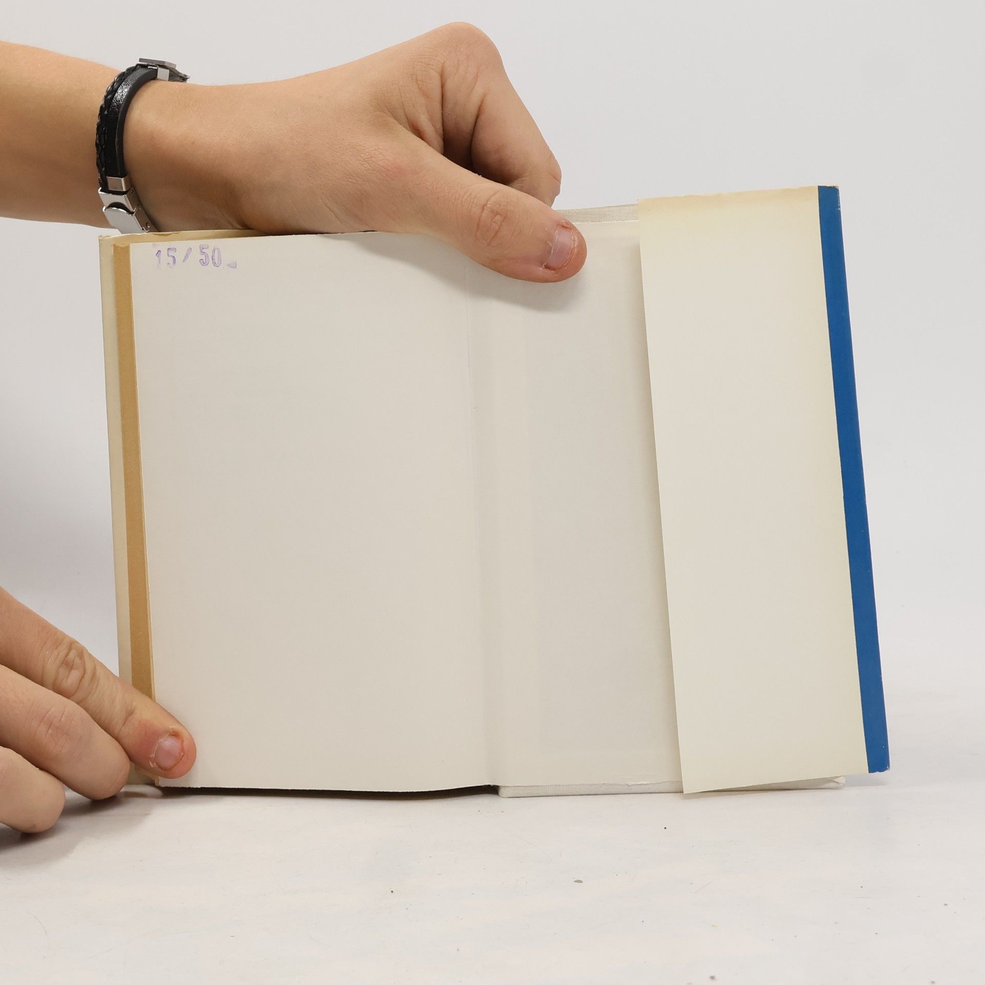 Various authors Französische Literatur im Überblick