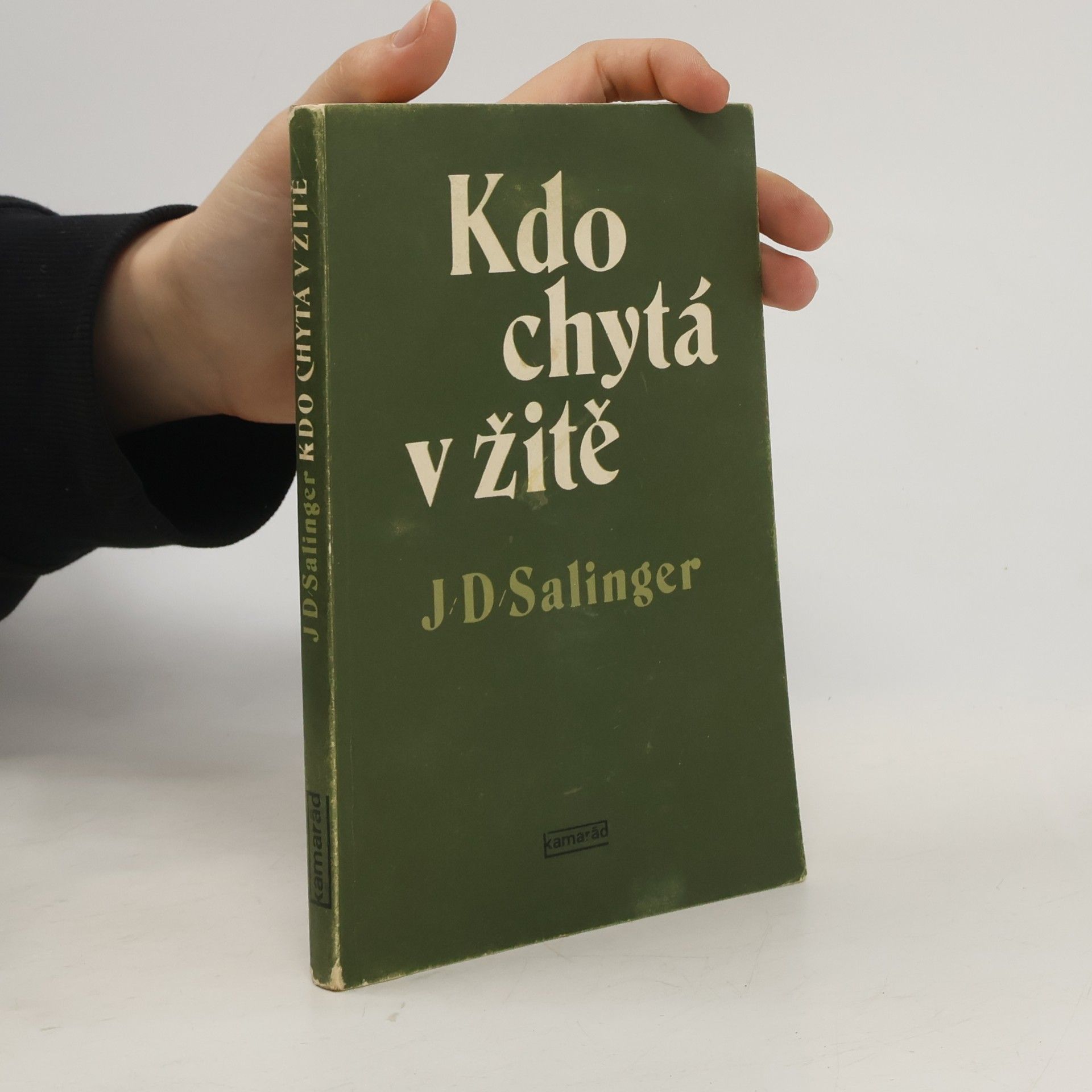 J. D. Salinger Kdo chytá v žitě