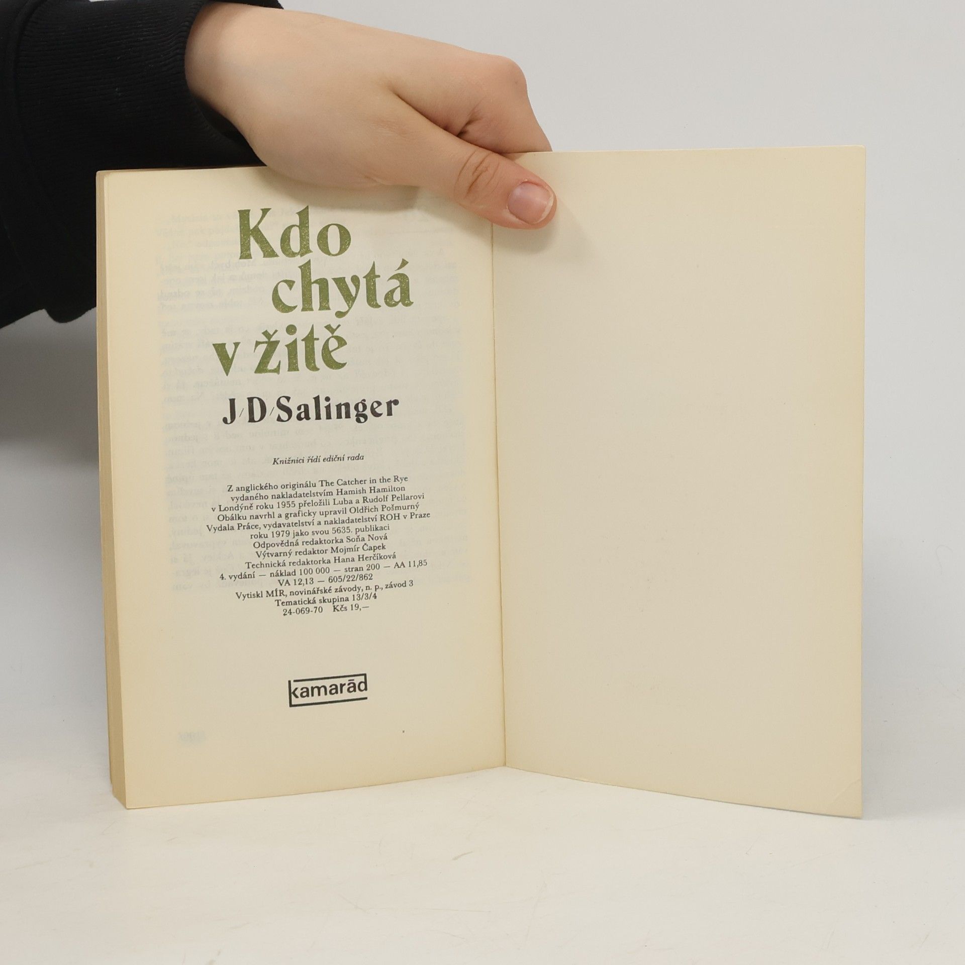 J. D. Salinger Kdo chytá v žitě