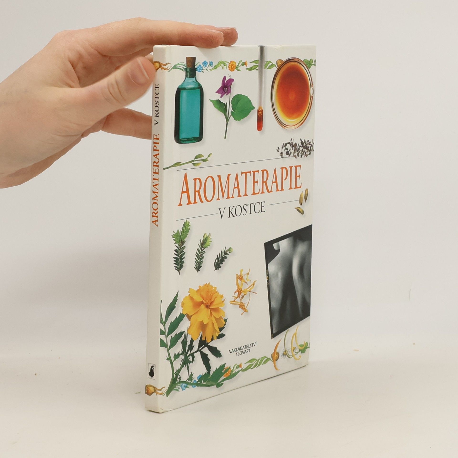 Sheila Lavery Aromaterapie v kostce