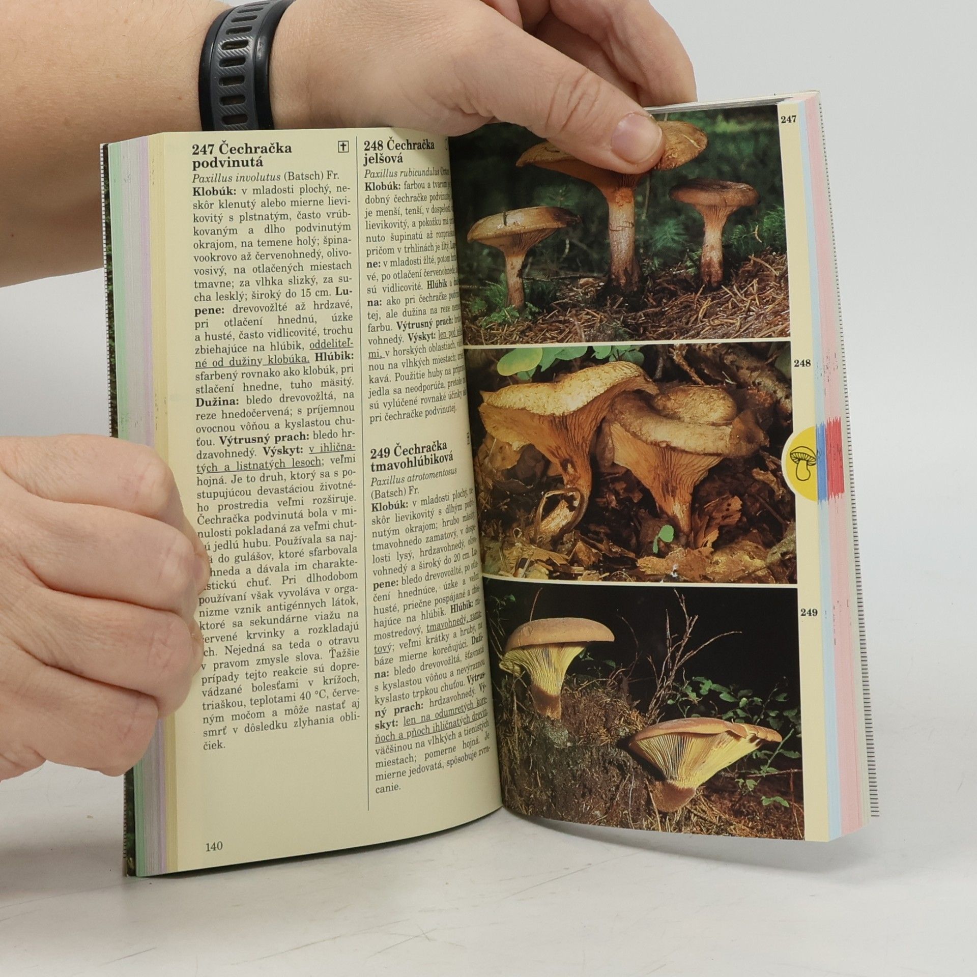 Edmund Garnweidner Vreckový atlas: Huby