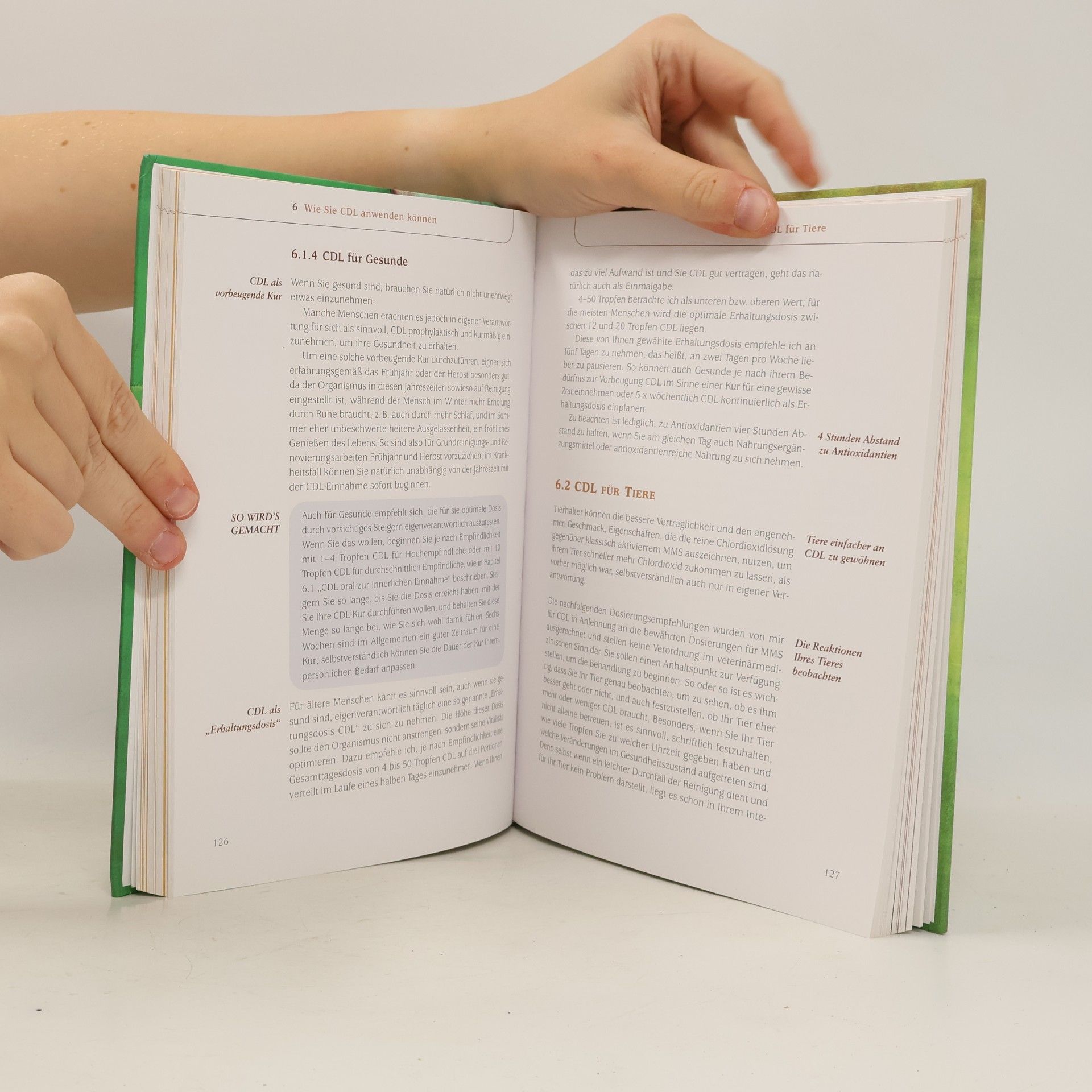 Antje Oswald Das CDL-Handbuch