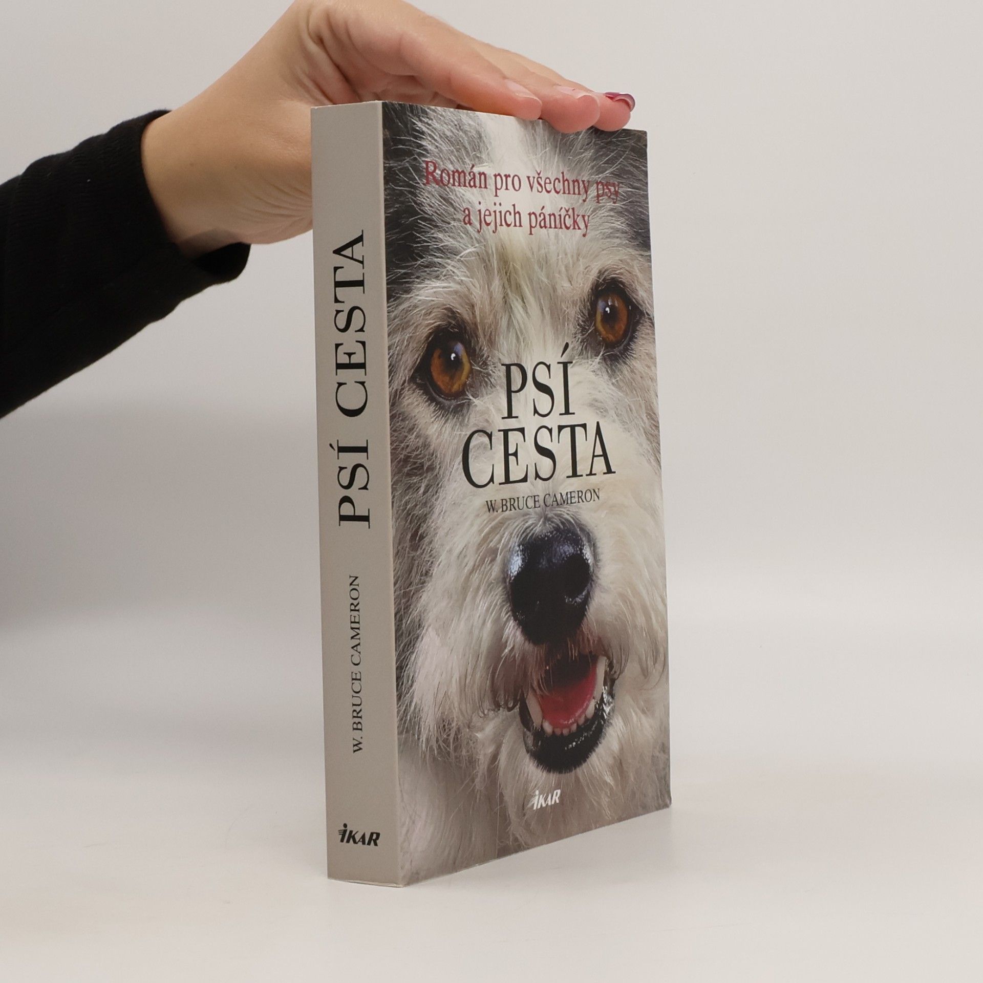 Psí cesta