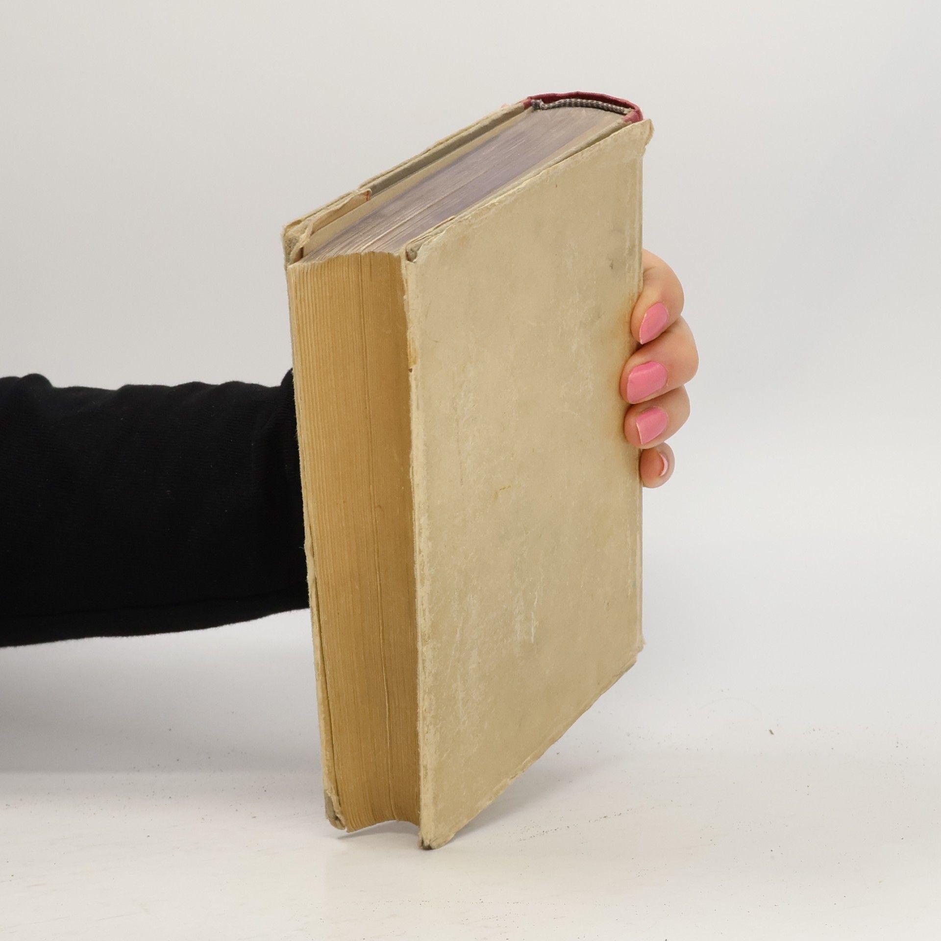Arne Novák Stručné dějiny literatury české