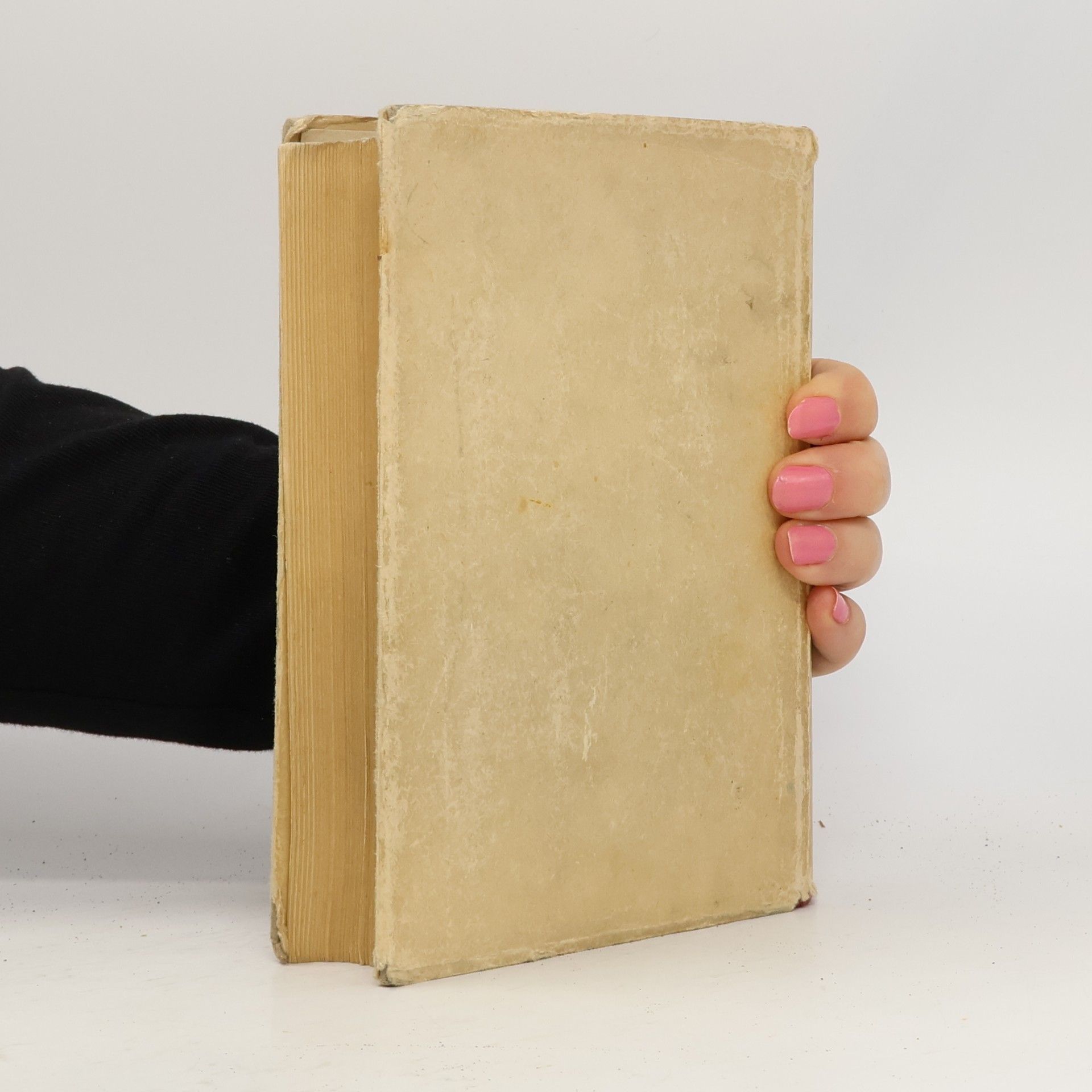 Arne Novák Stručné dějiny literatury české