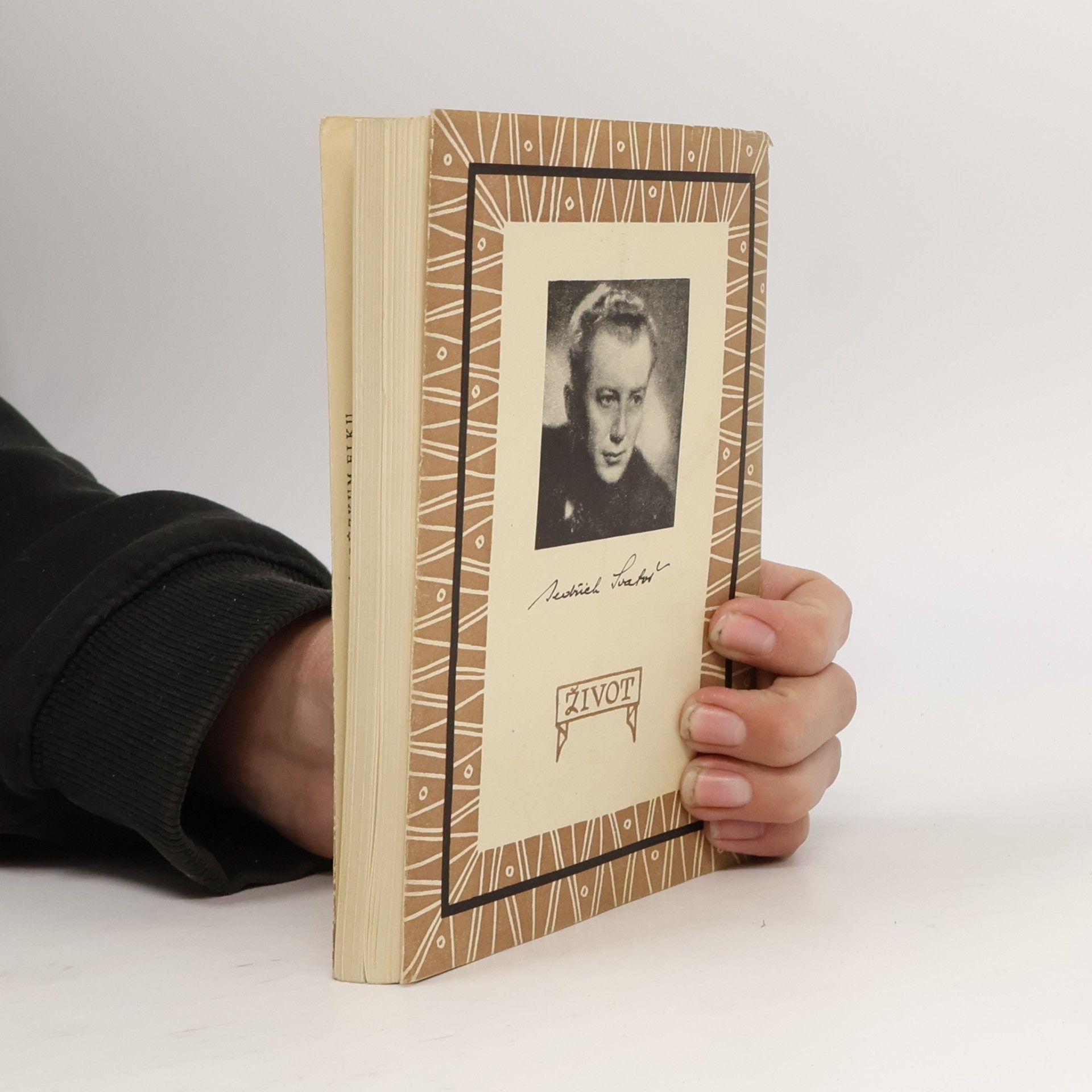 Bedřich Svatoš Poslední městečko