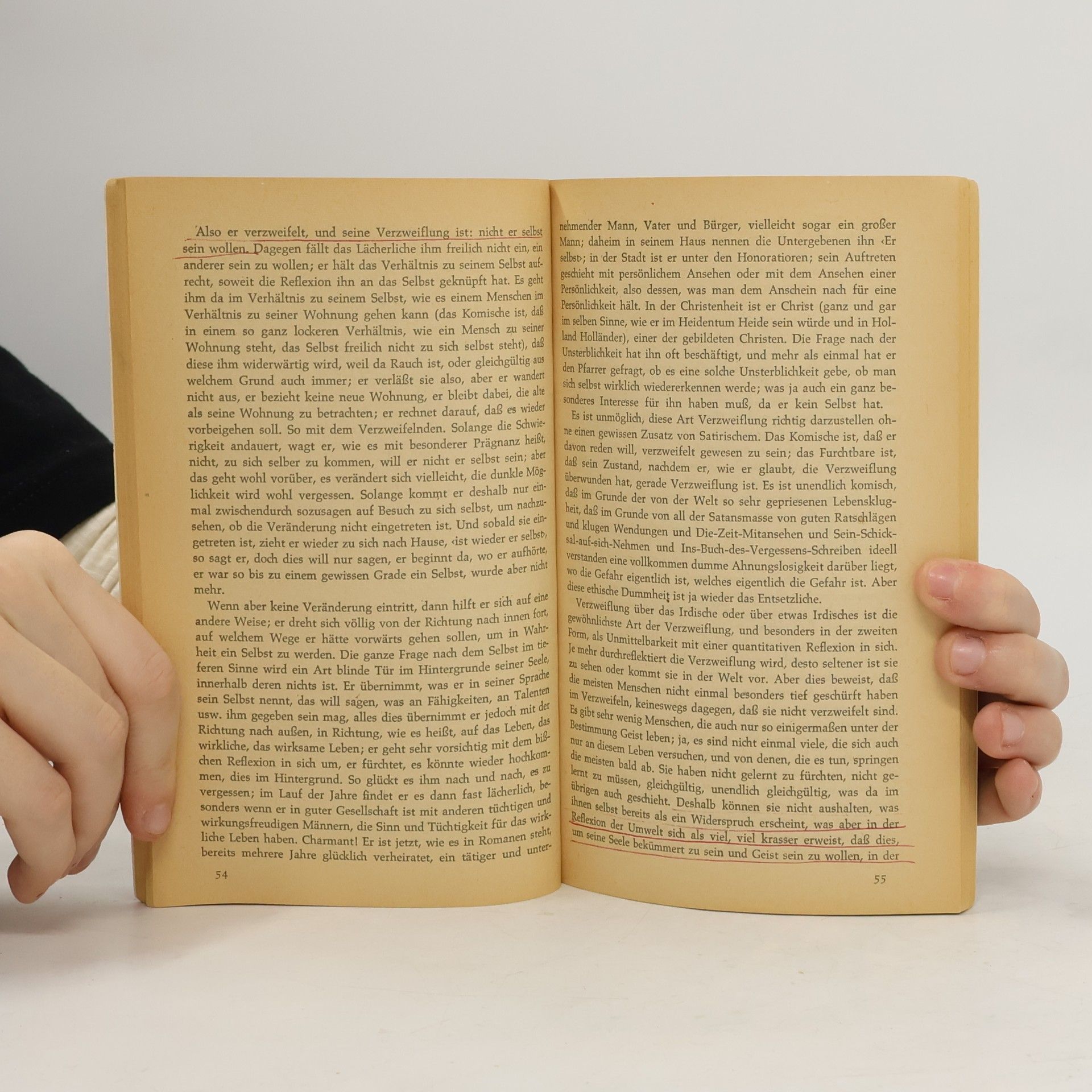Soren Kierkegaard Die Krankheit zum Tode