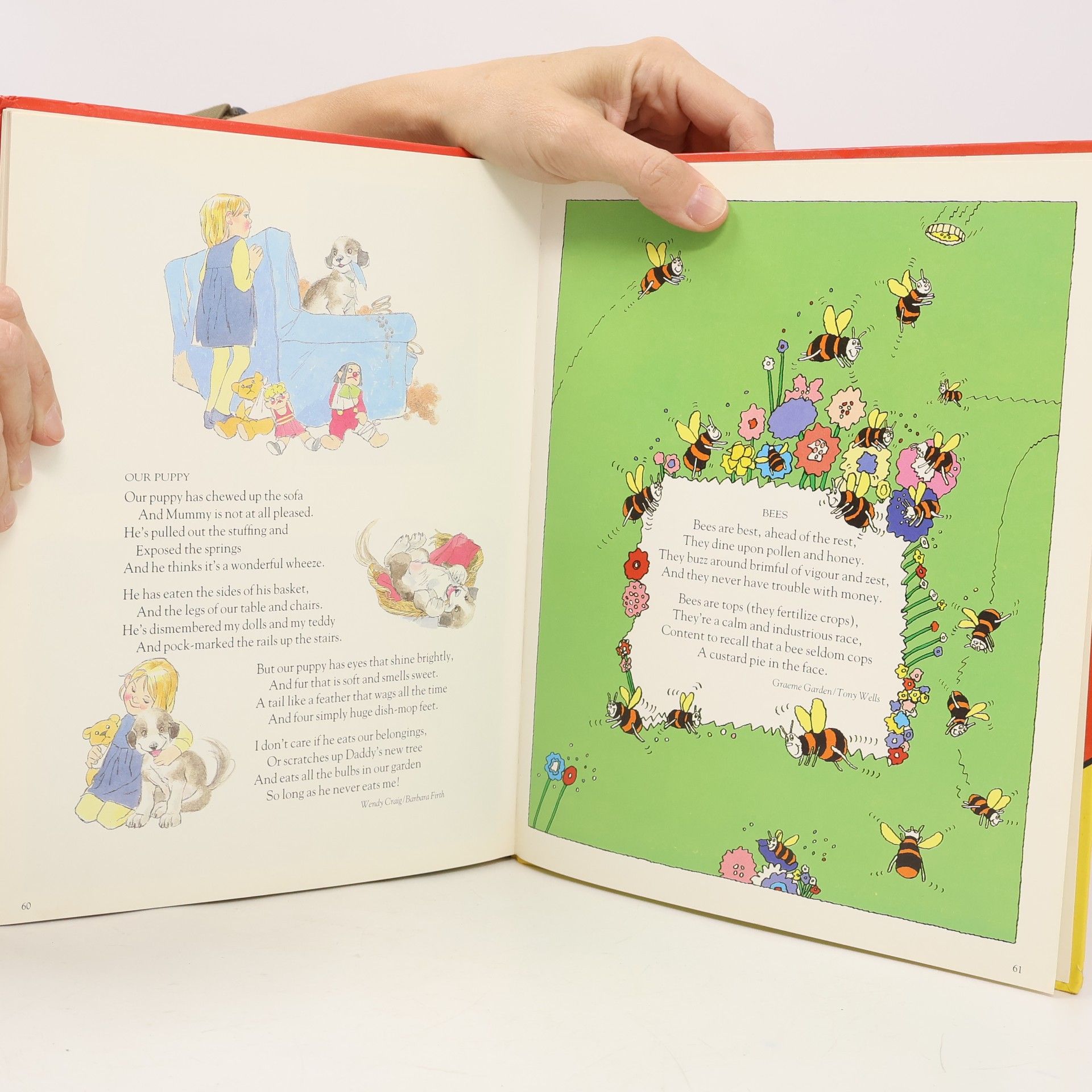 Save the Children Fund The Children's Book