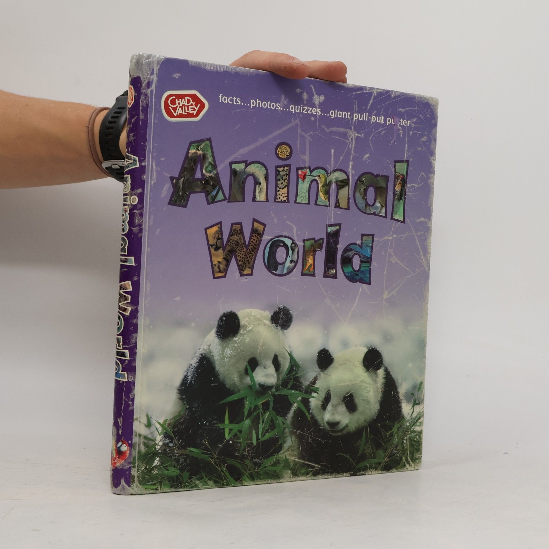 Sally Morgan Animal World