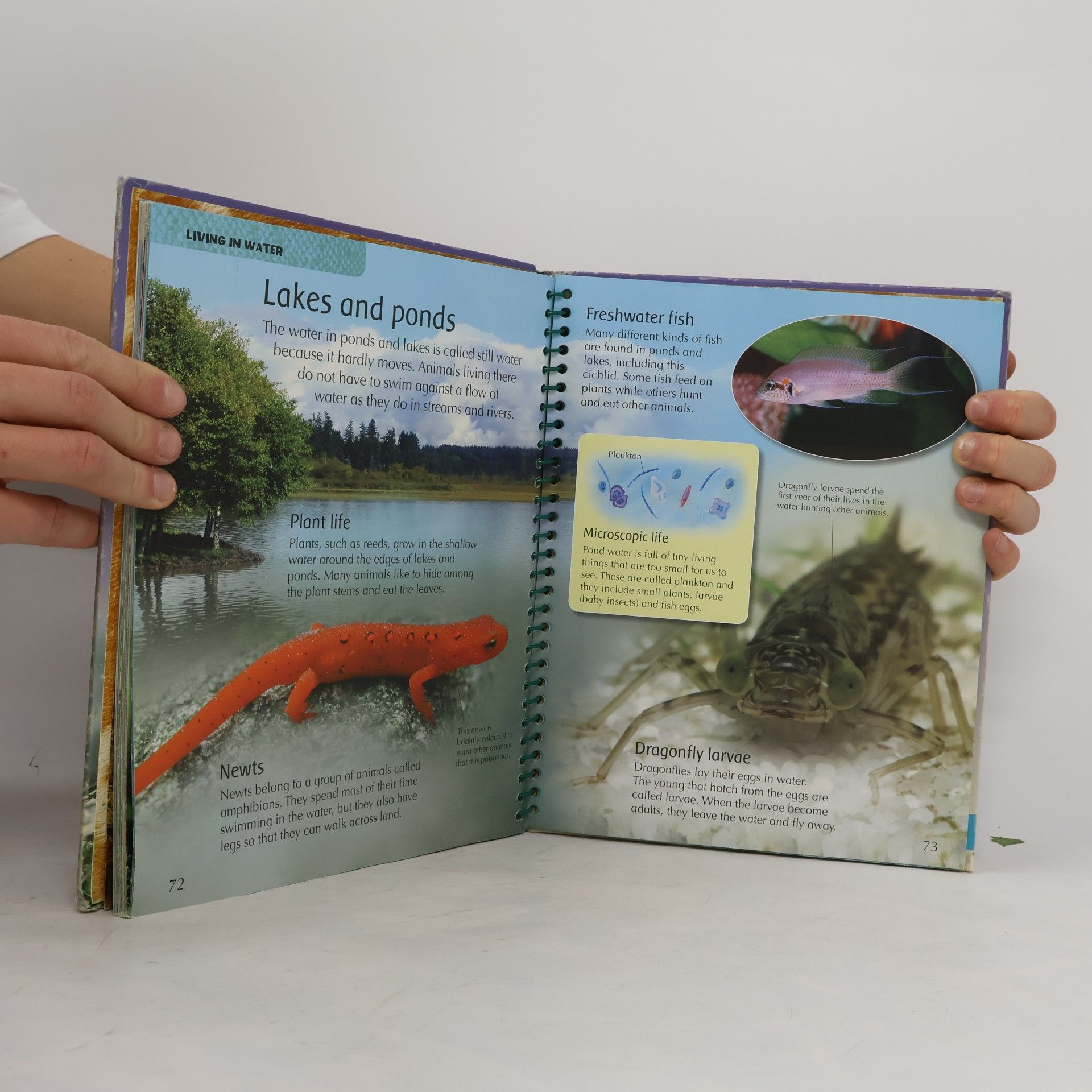 Sally Morgan Animal World