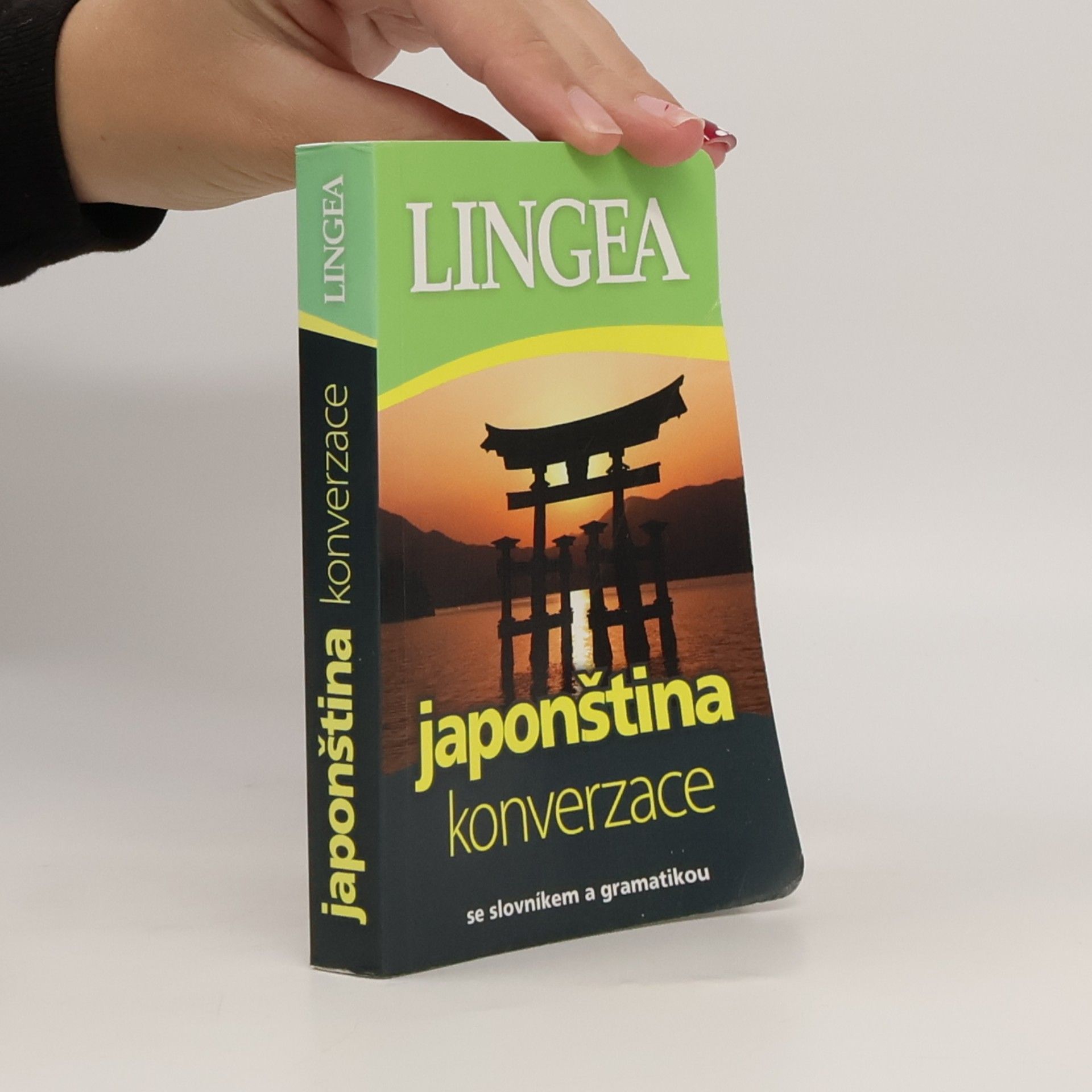 Kolektiv autorů Japonština konverzace