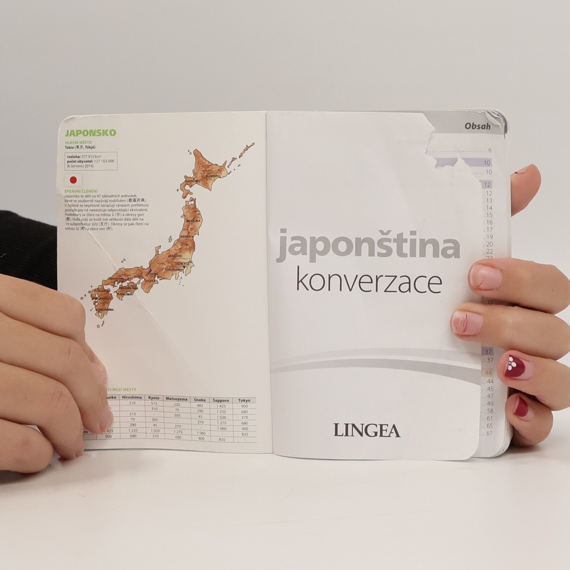 Kolektiv autorů Japonština konverzace