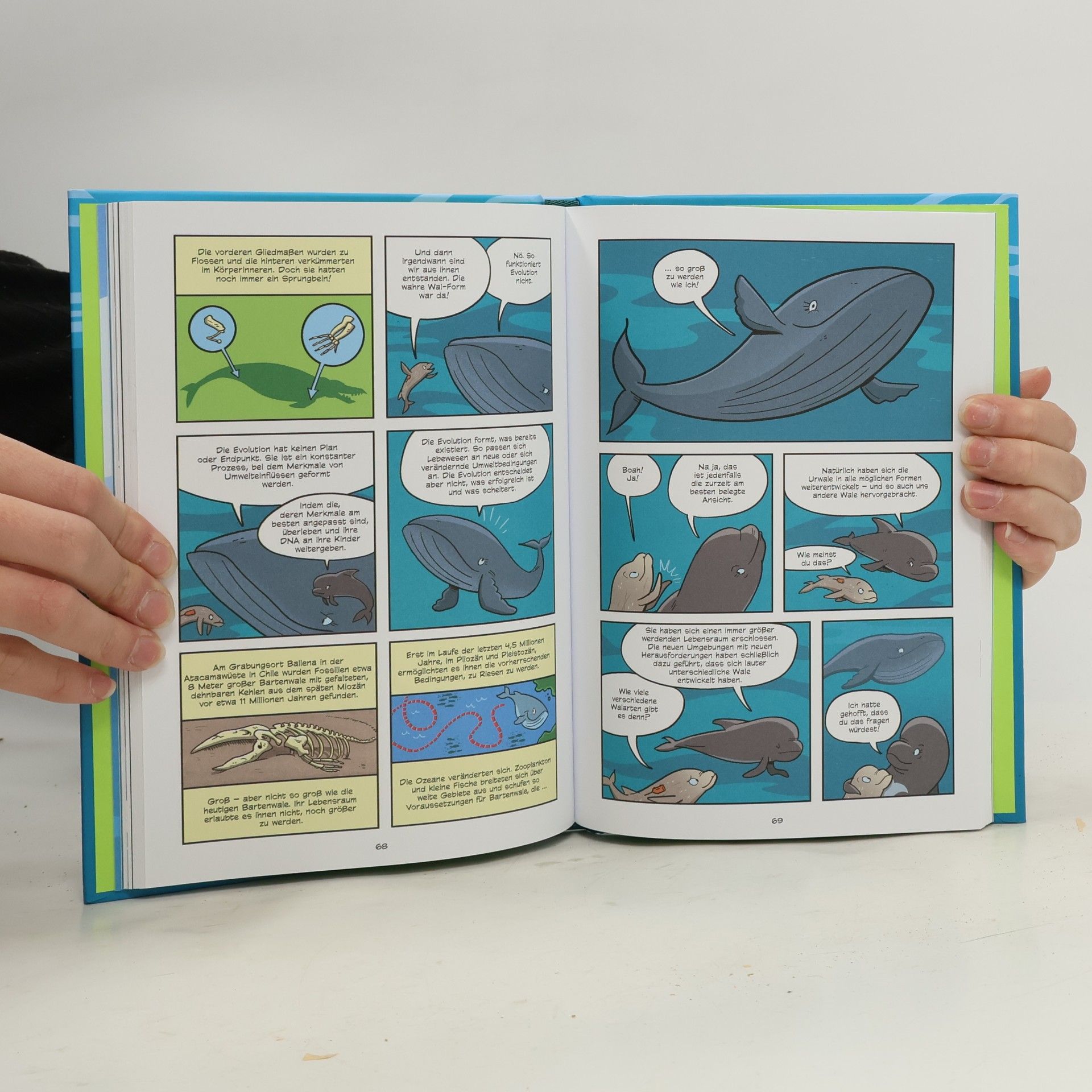 Casey Zakroff Superbrain-Comics - Die Geheimnisse der Wale